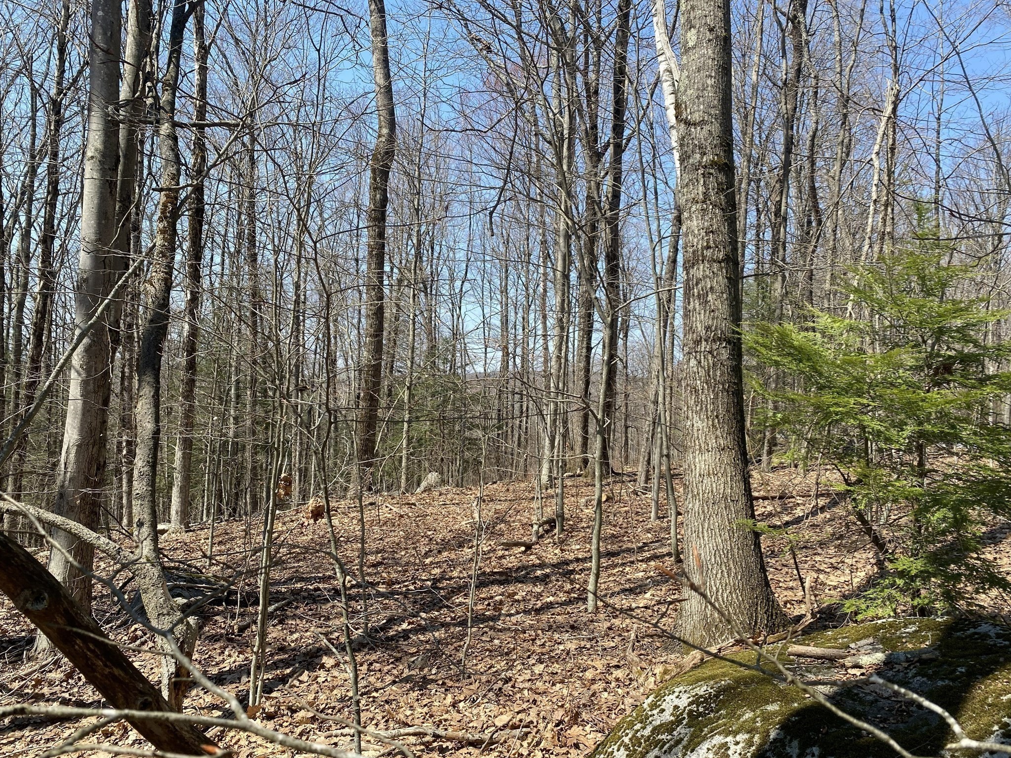 Lot 15 Colebrook River Rd Property Photo 4