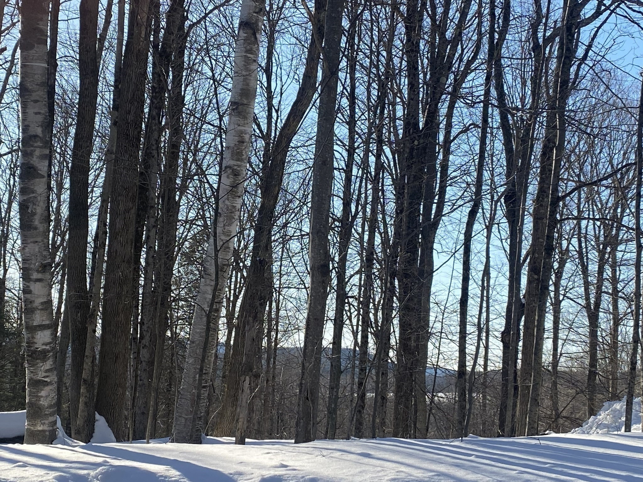 Lot 15 Colebrook River Rd Property Photo 5