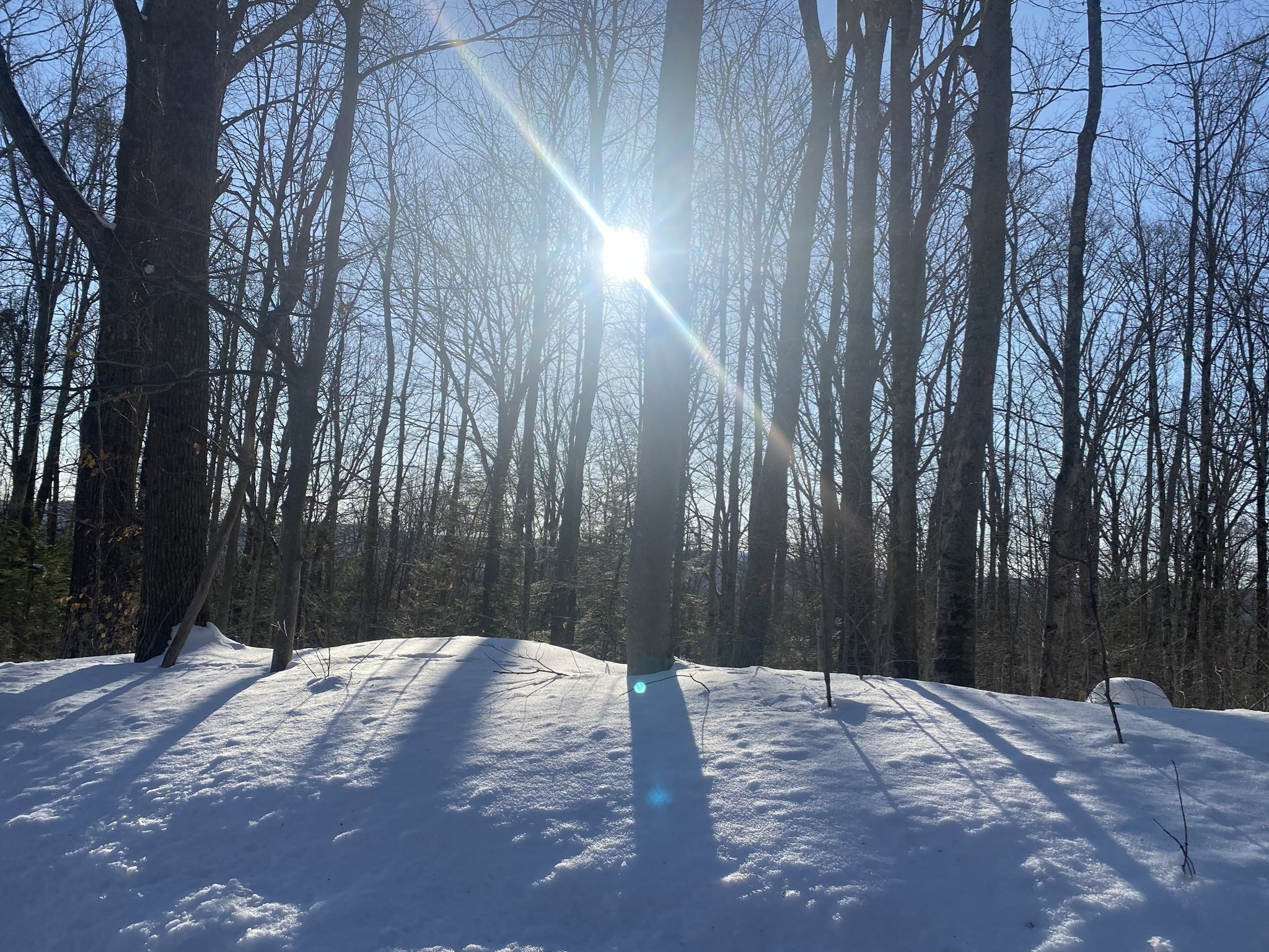 Lot 15 Colebrook River Rd Property Photo 6
