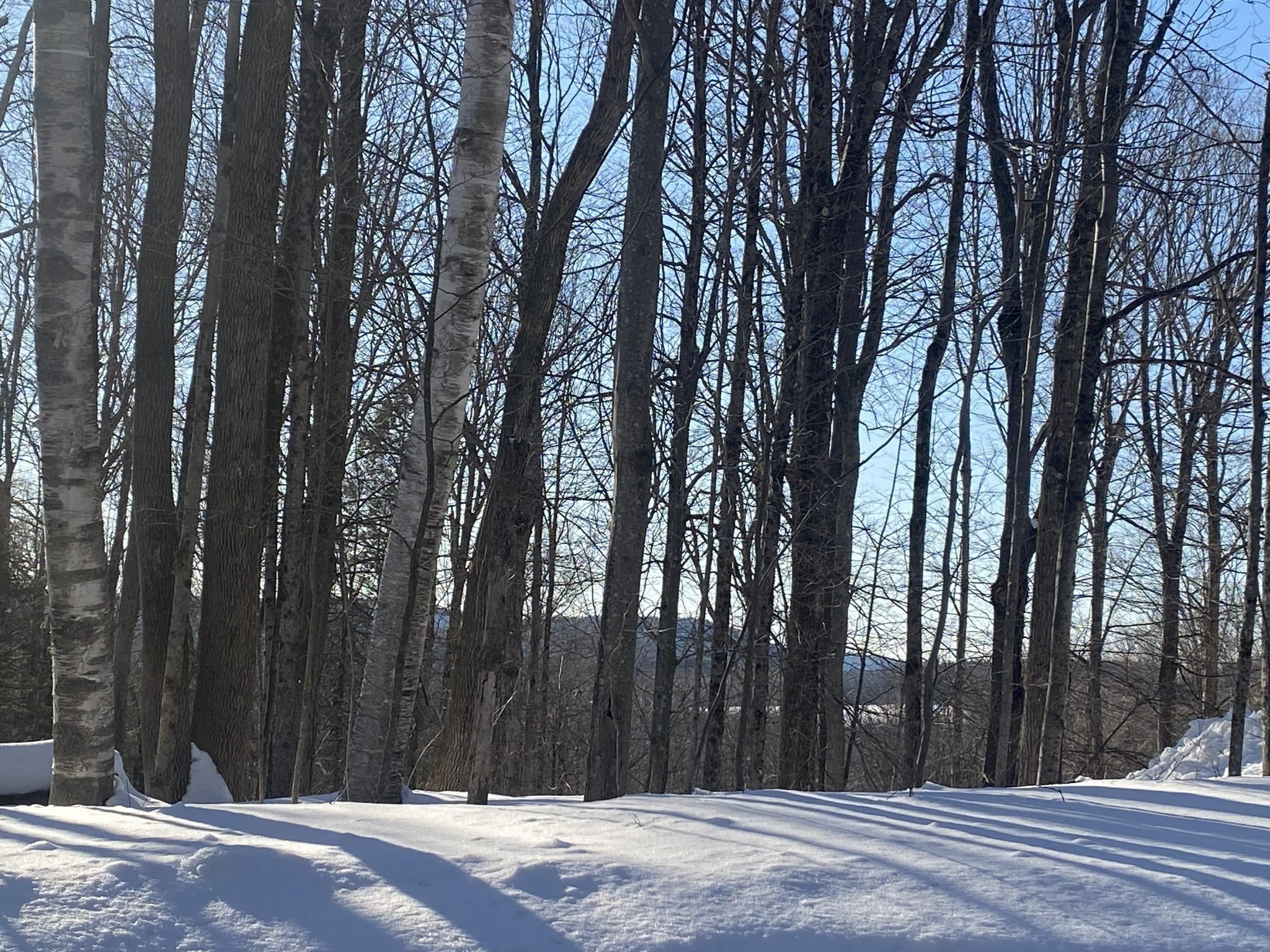 Lot 15 Colebrook River Rd Property Photo 10