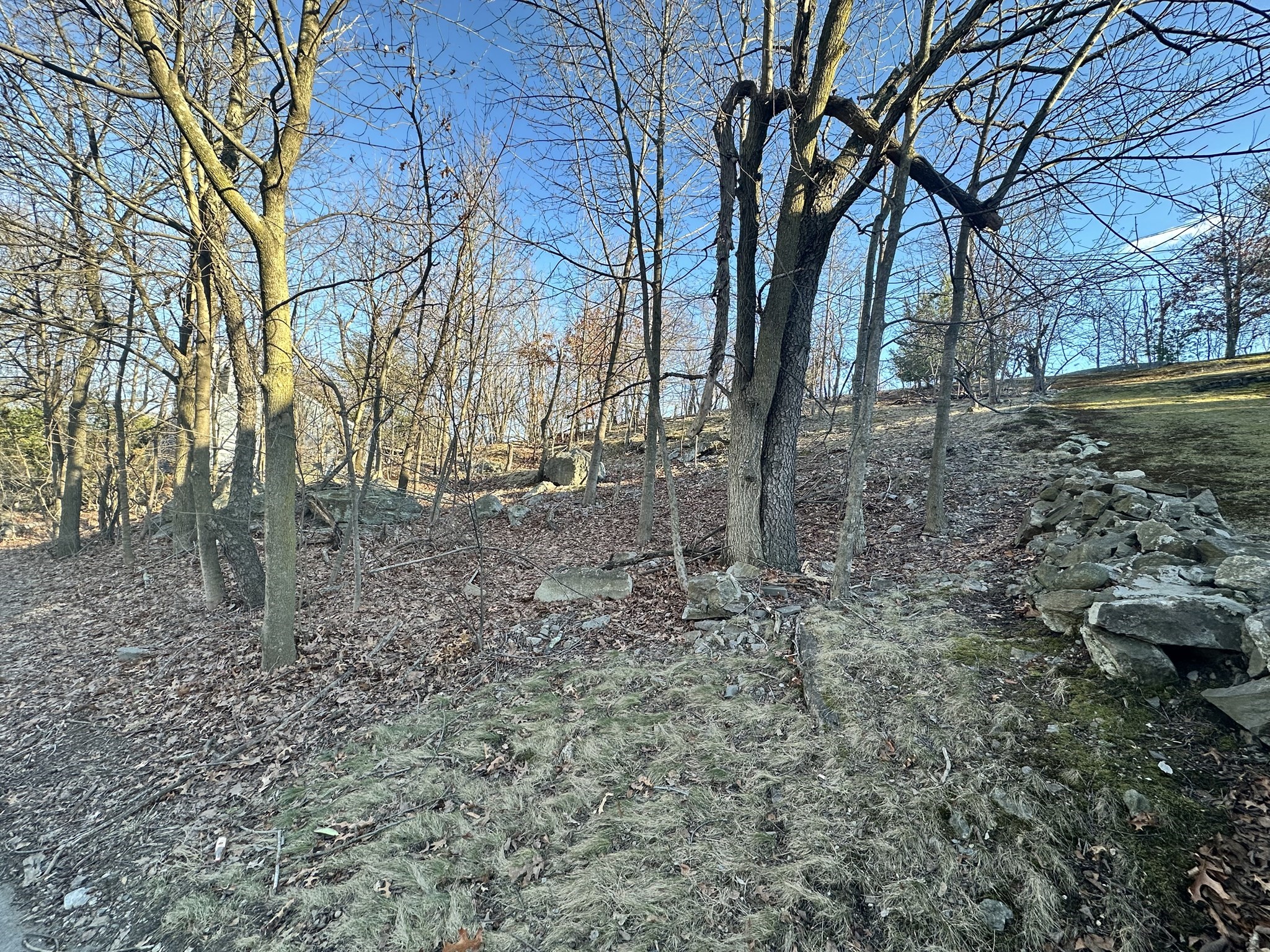 0 Vfw Parkway Property Photo 1