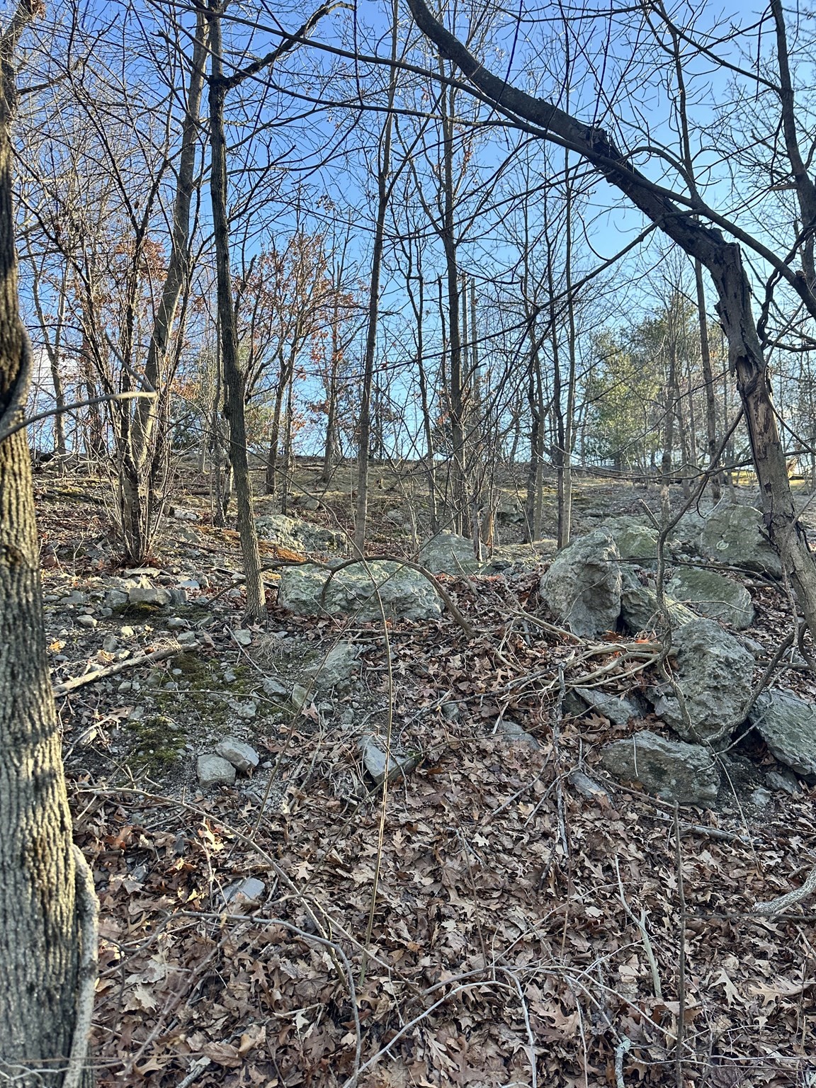 0 Vfw Parkway Property Photo 2