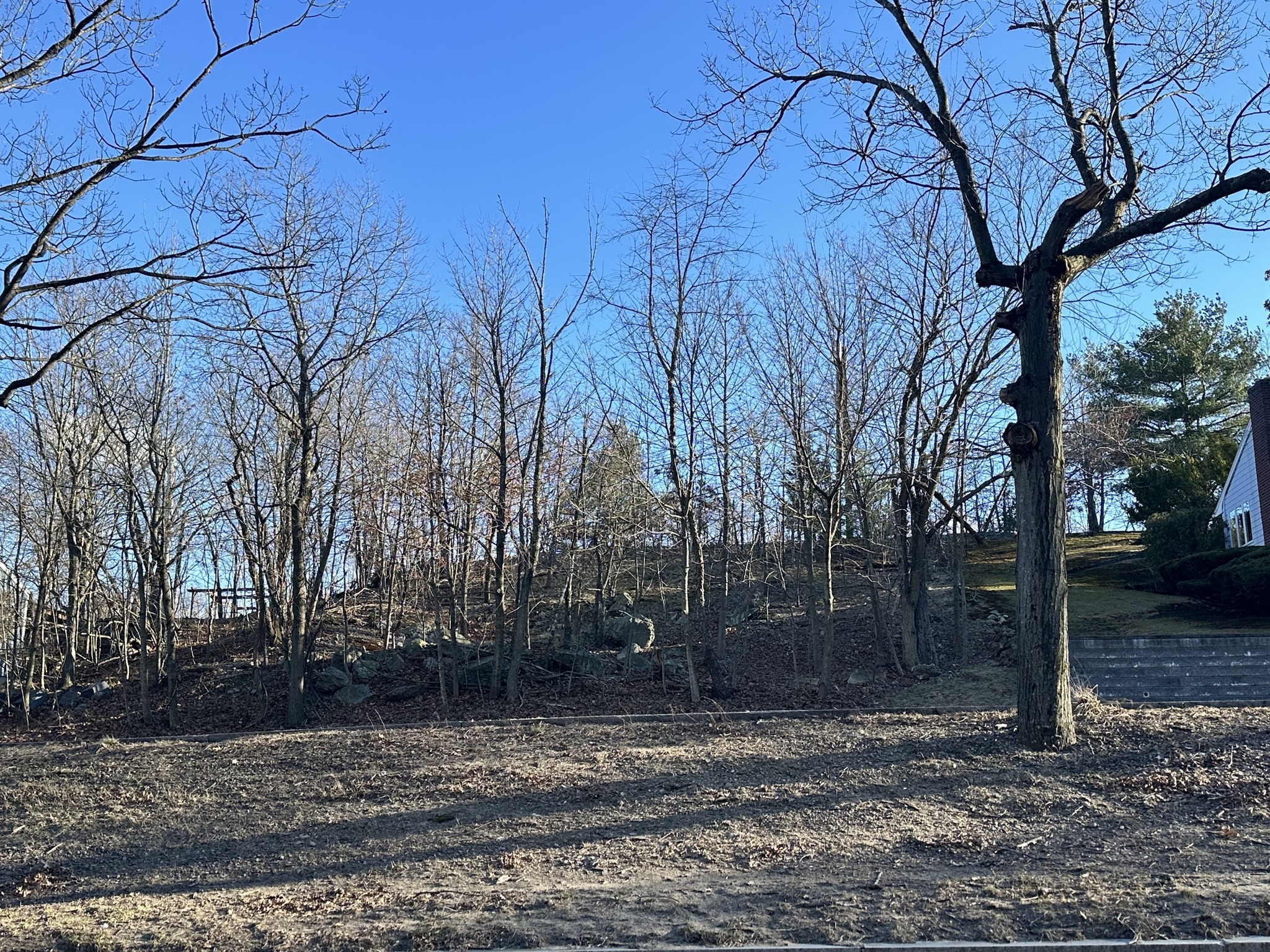 0 Vfw Parkway Property Photo 3