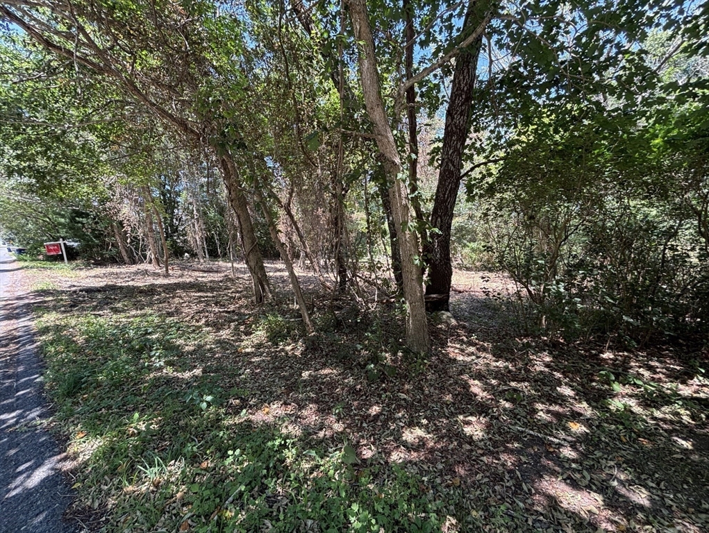 0 Rounseville Rd Property Photo 3