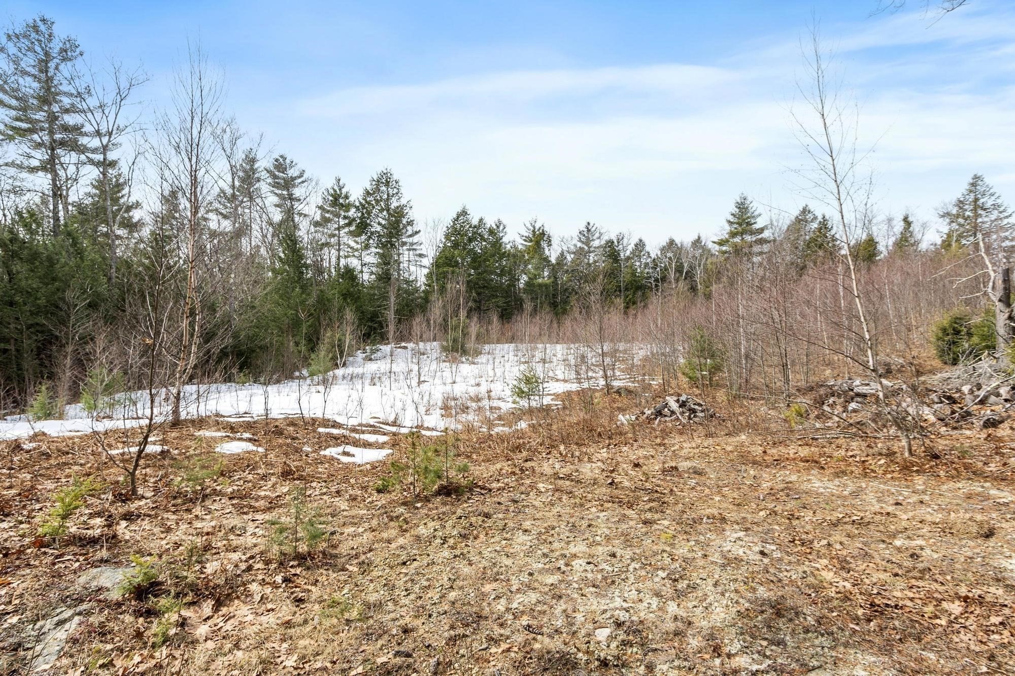 0 Mellen Rd Property Photo 5