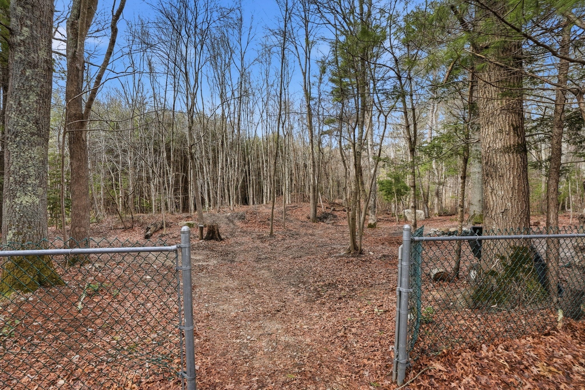 102 County St Property Photo 34