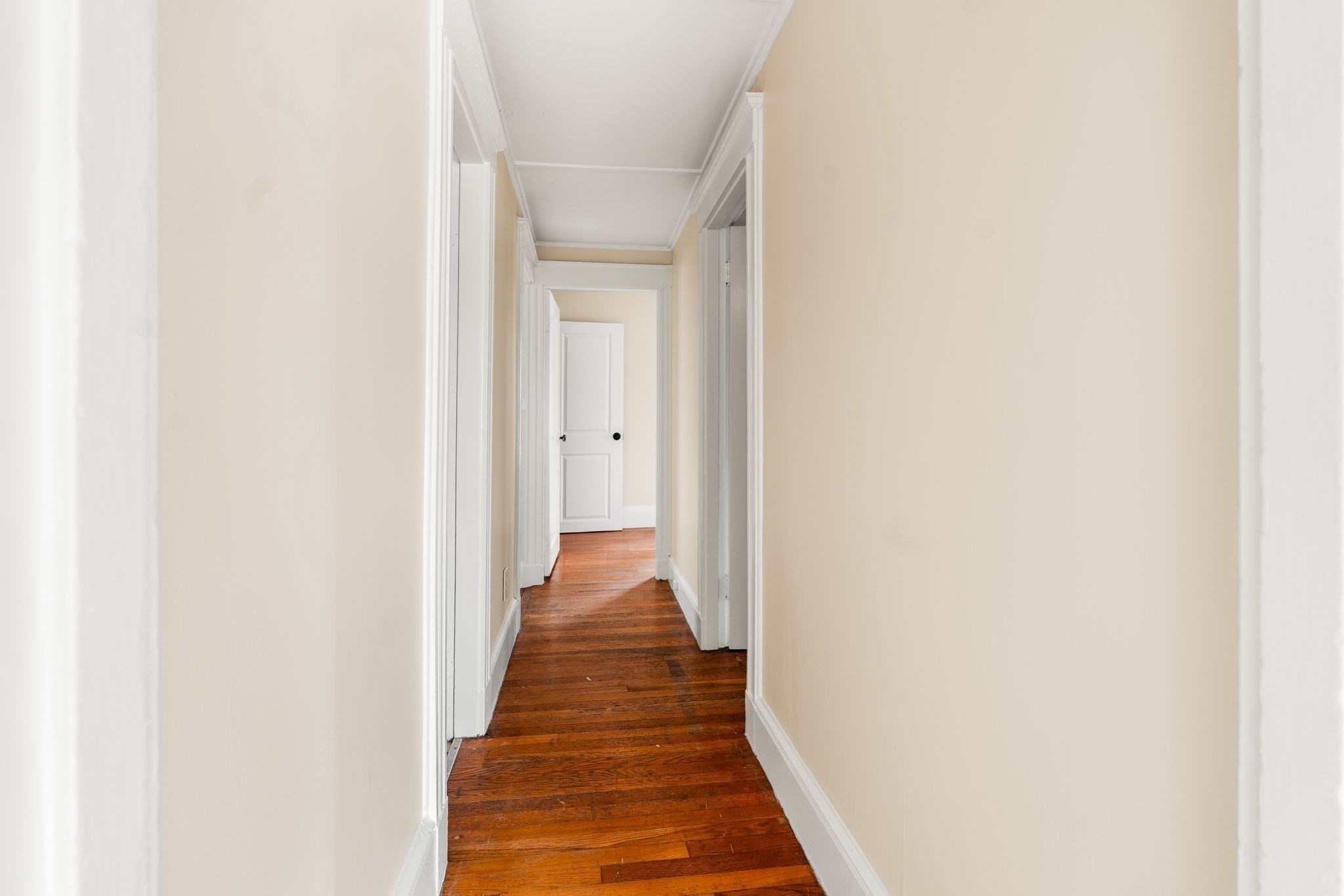 74 Myrtle St Property Photo 22