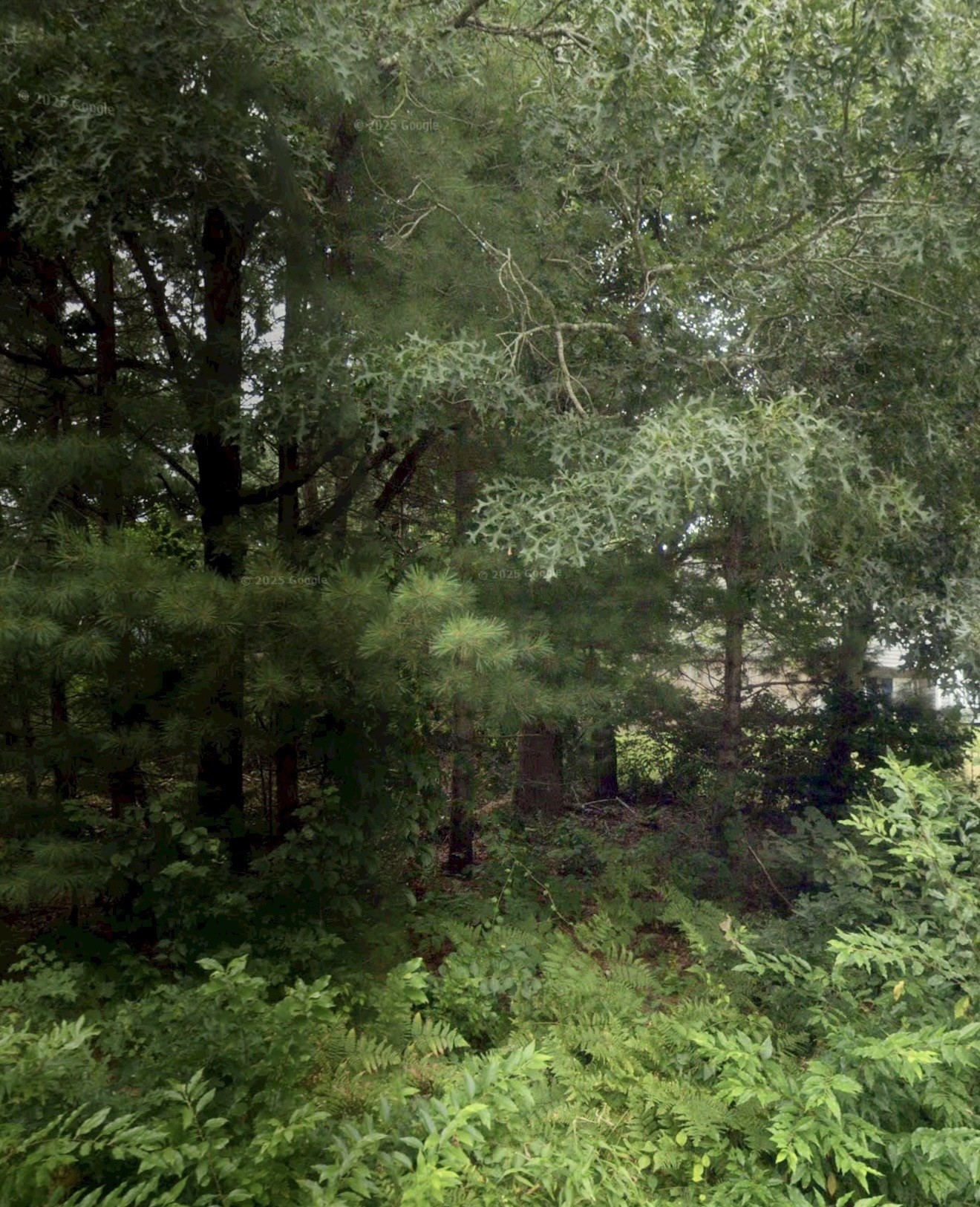 59 Park Property Photo 1