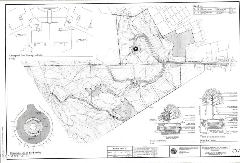 Lot 9 West Maple Street Property Photo 8