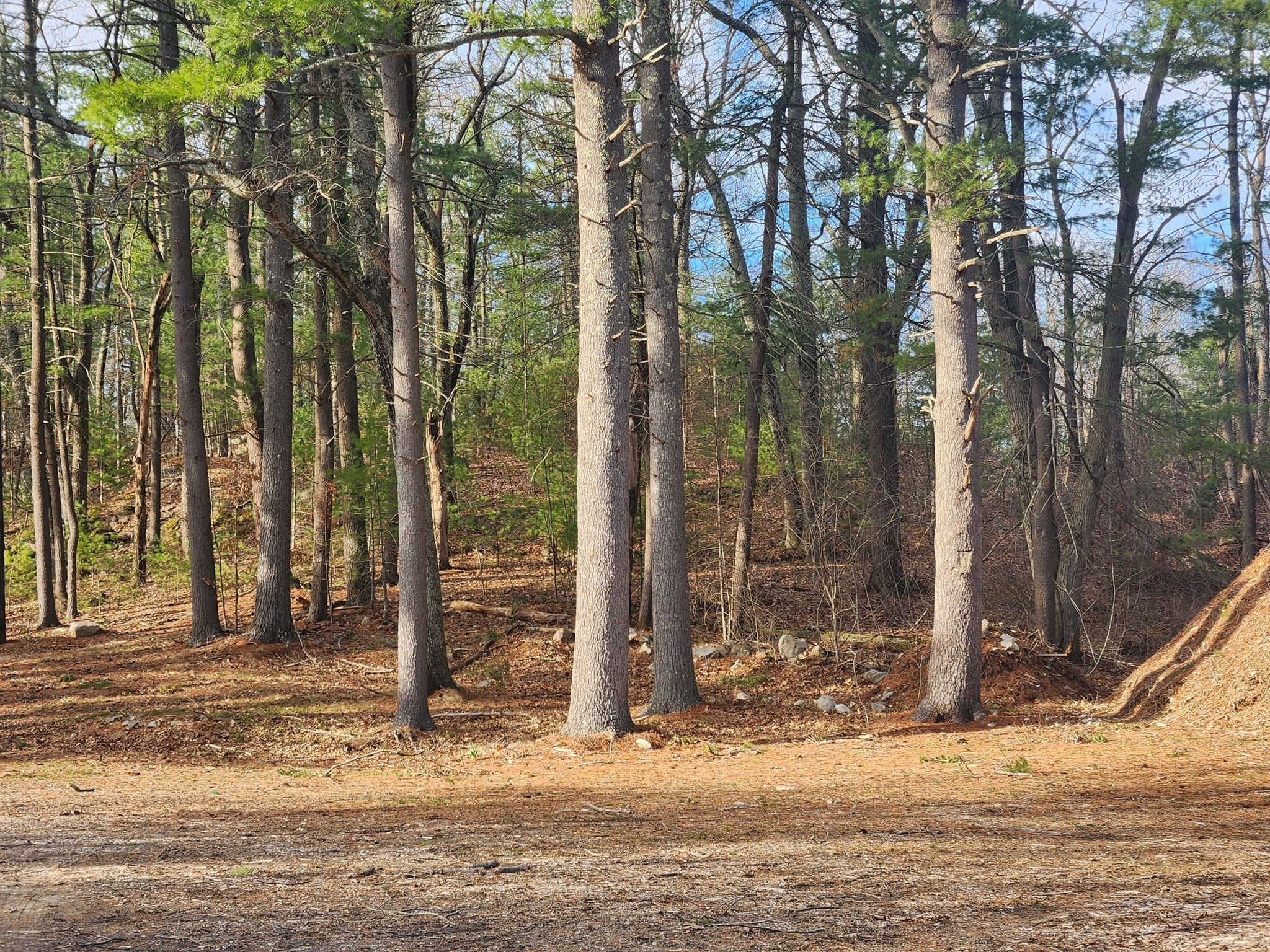 63 Farm Road Lot 5 Property Photo 1