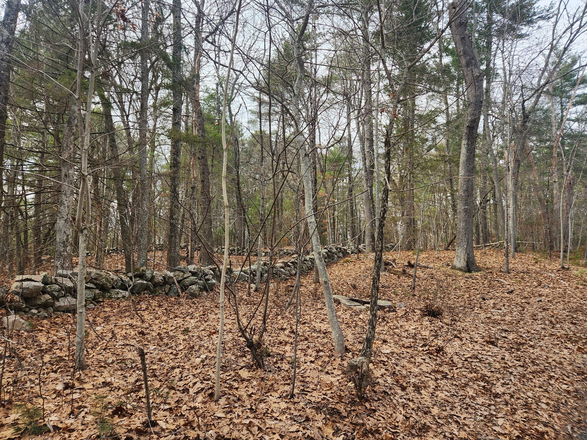 147 Washington Street Lot 2 Property Photo 1