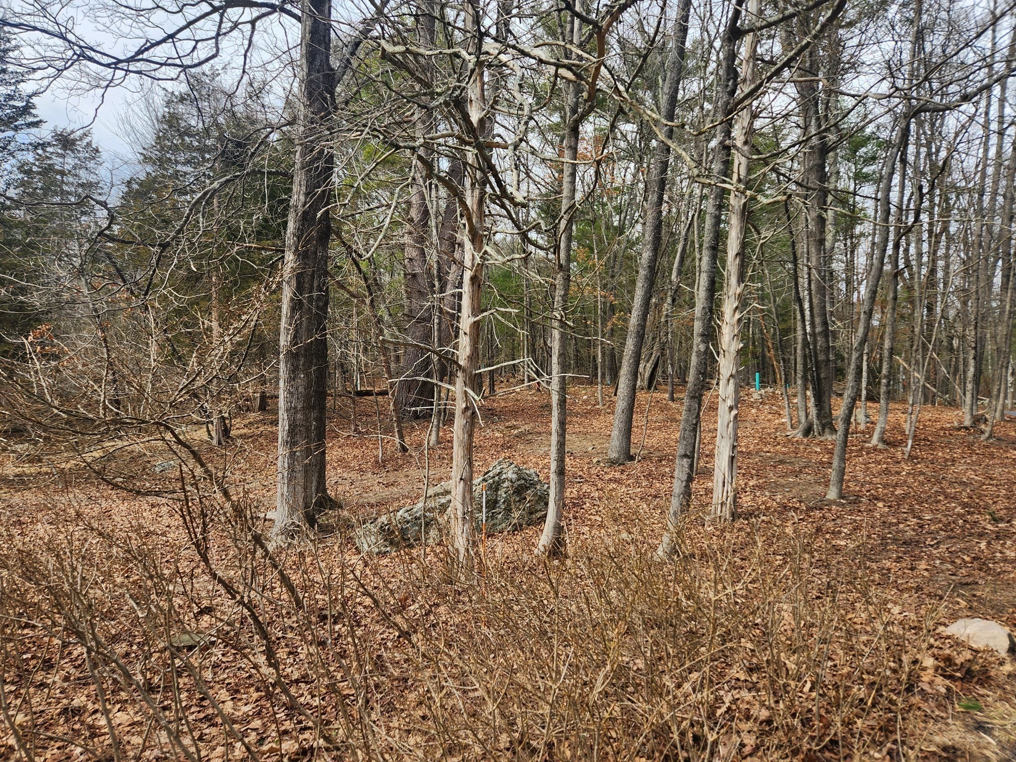147 Washington Street Lot 2 Property Photo 2