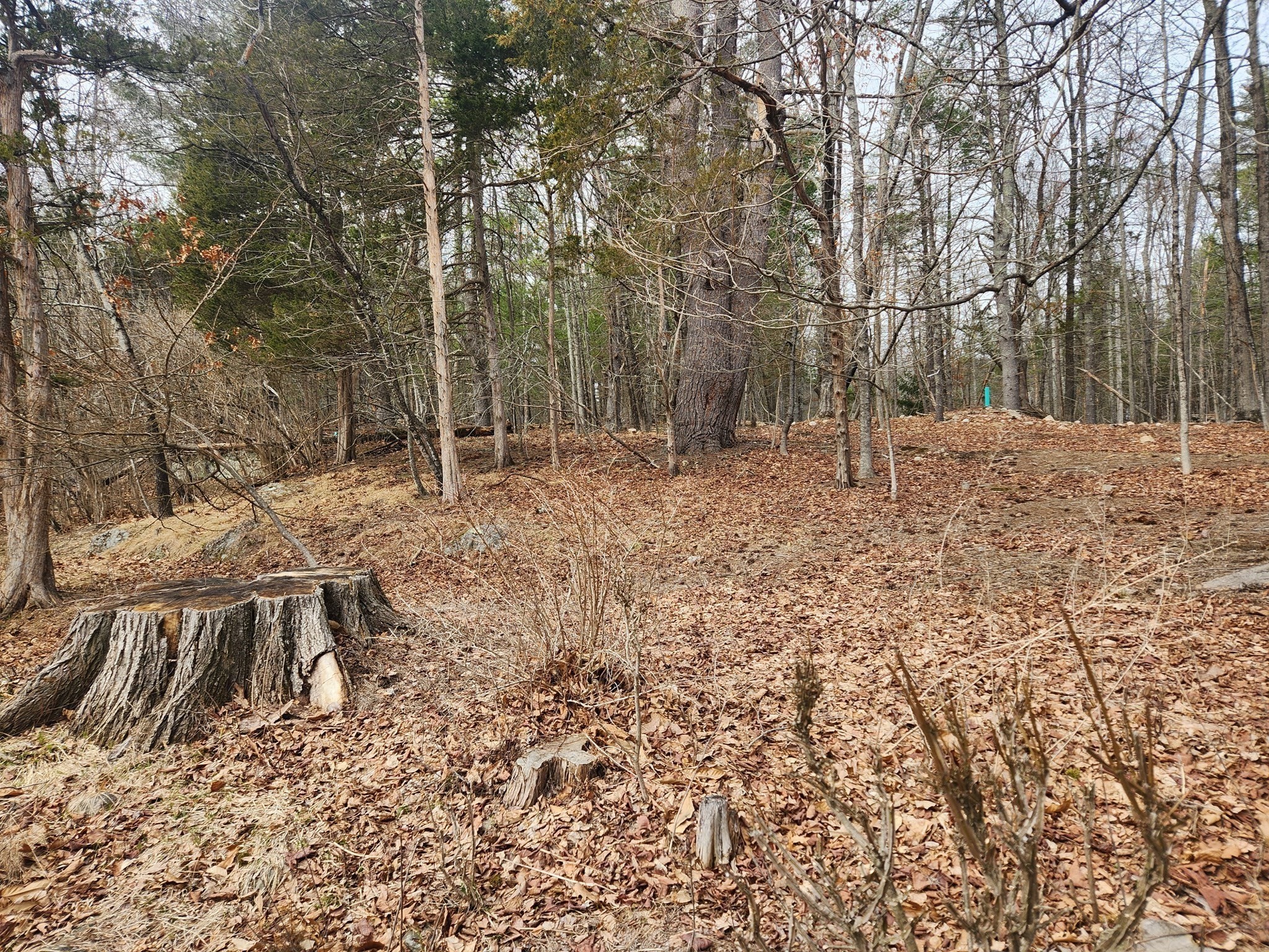 147 Washington Street Lot 2 Property Photo 3