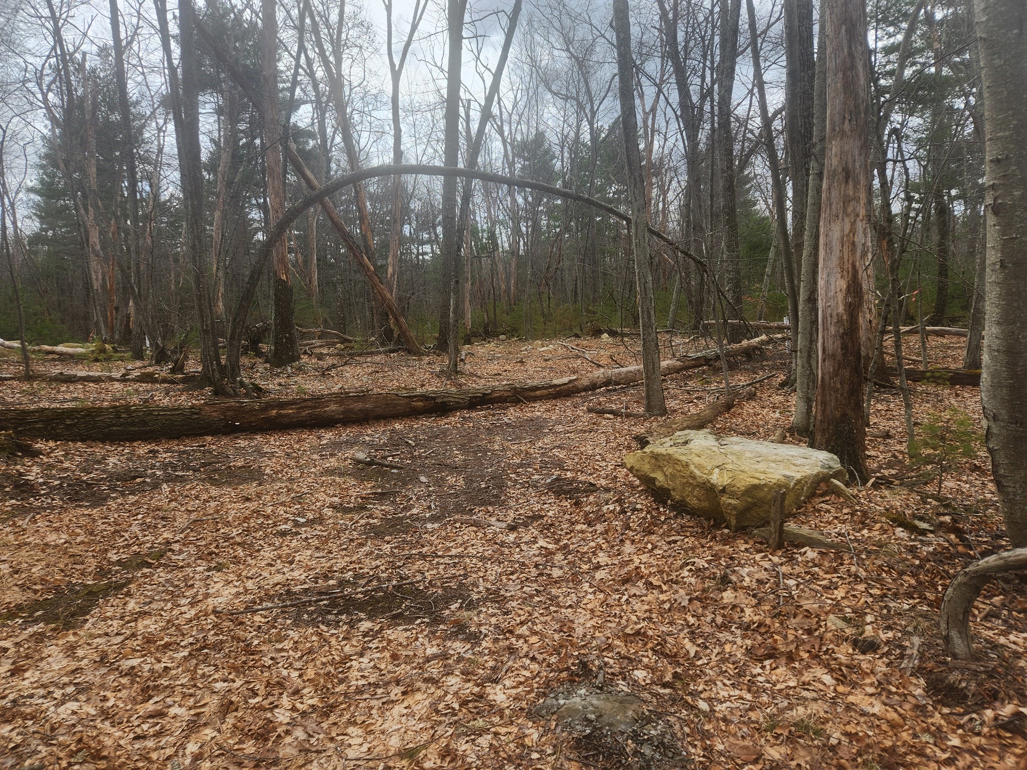 147 Washington Street Lot 2 Property Photo 4