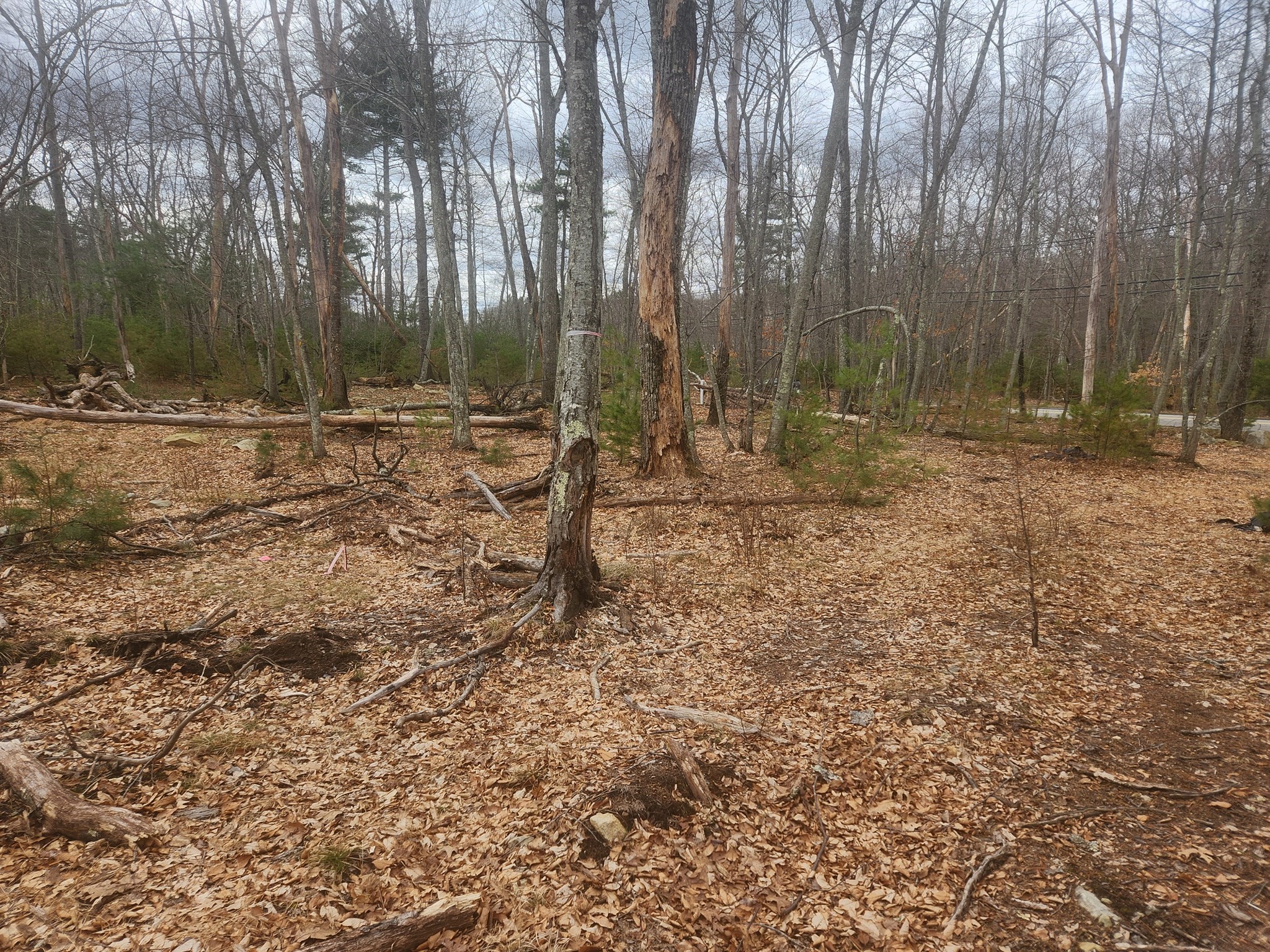 147 Washington Street Lot 2 Property Photo 5