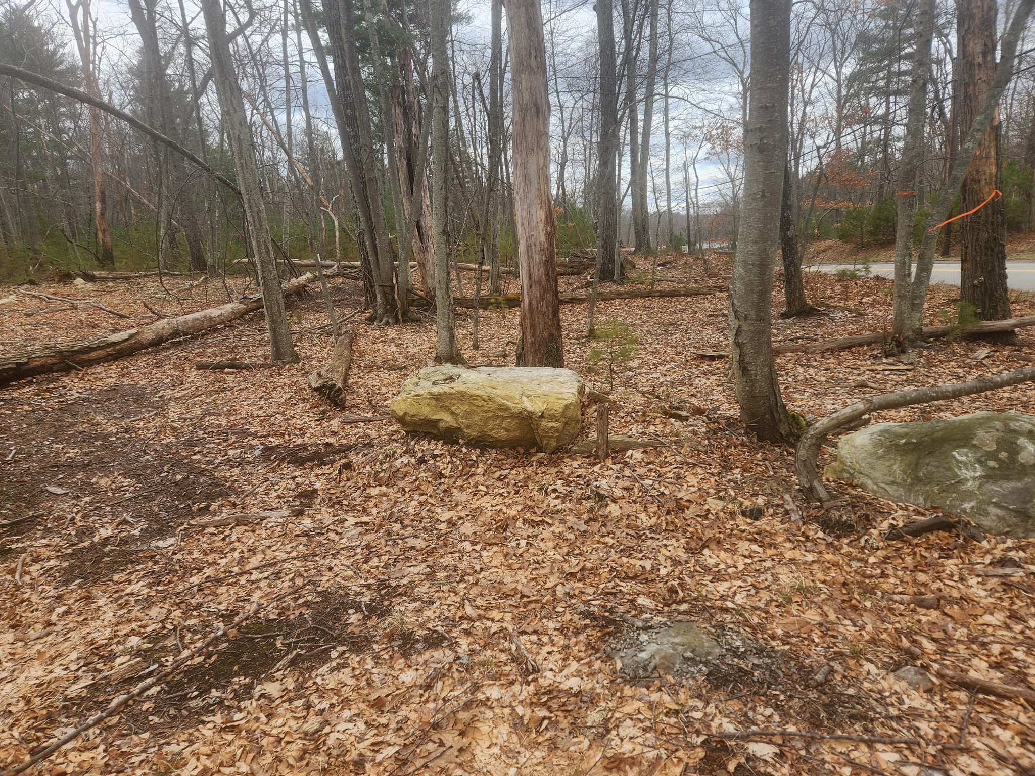 147 Washington Street Lot 2 Property Photo 6