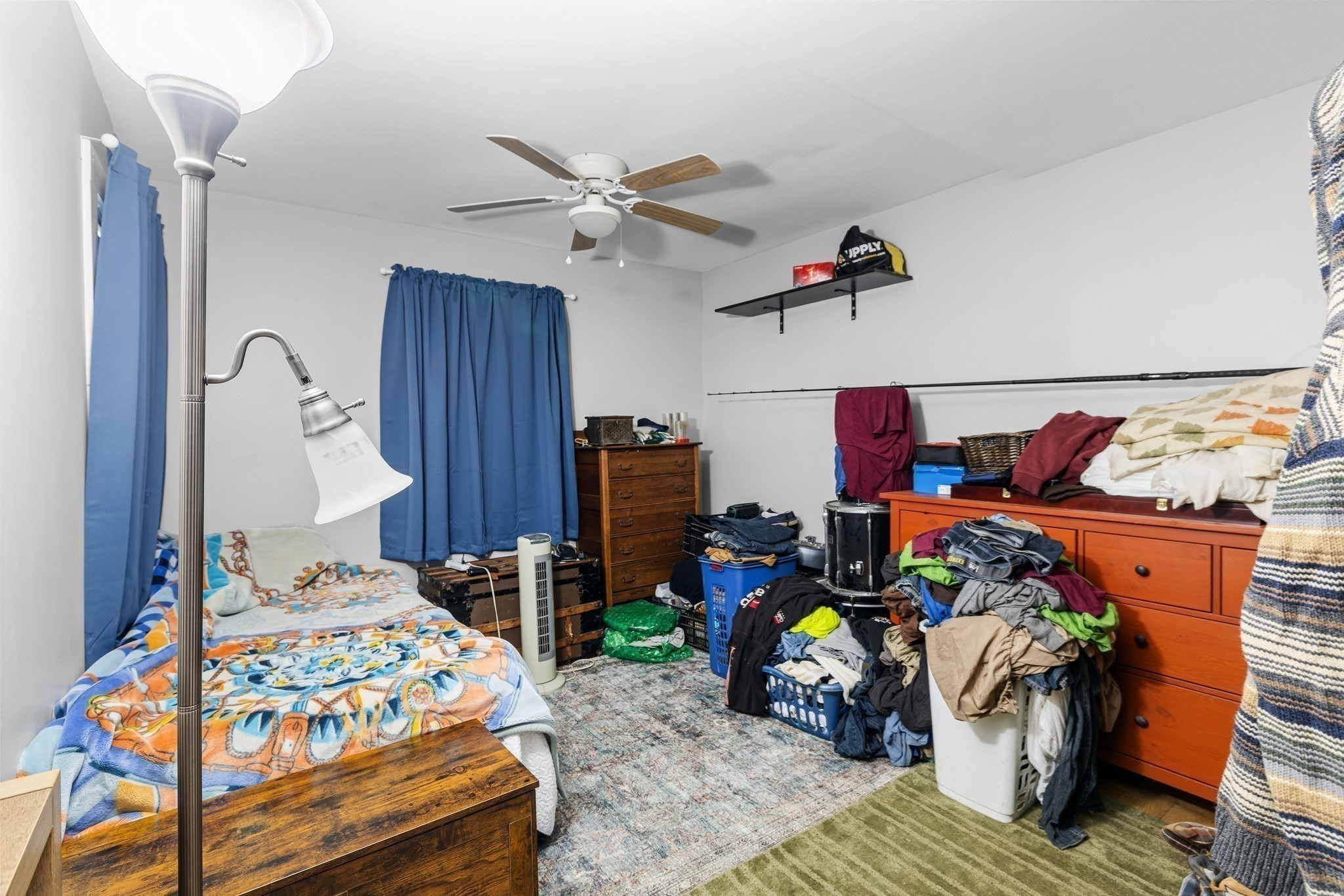 42 Everett Street Property Photo 17