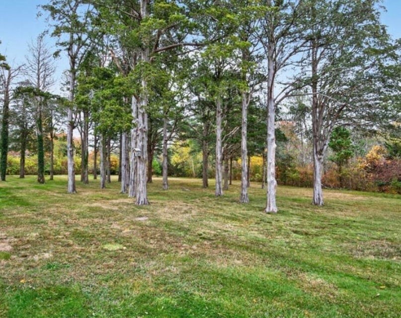 25 Whig Street Property Photo 3