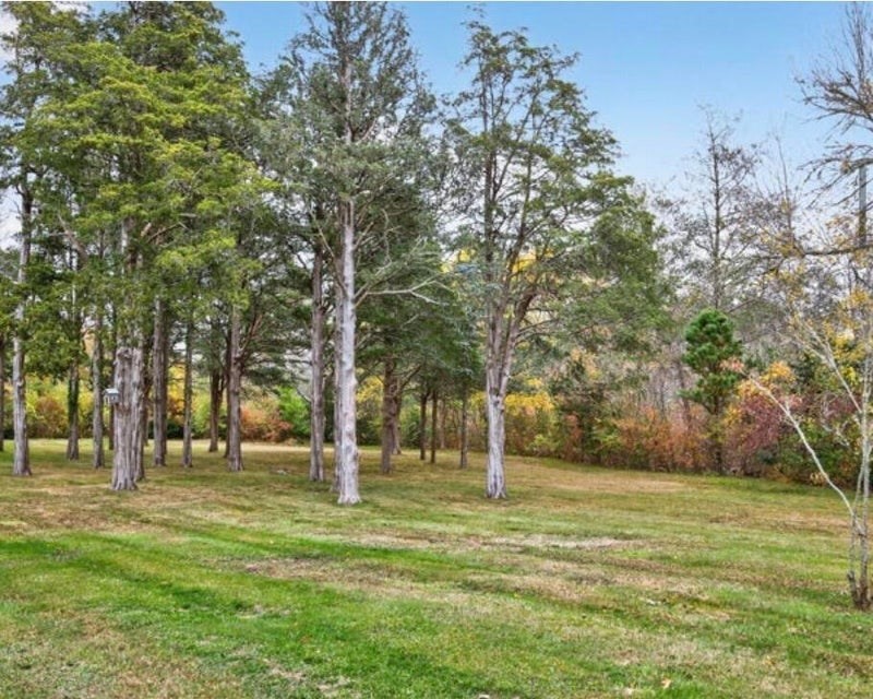 25 Whig Street Property Photo 6