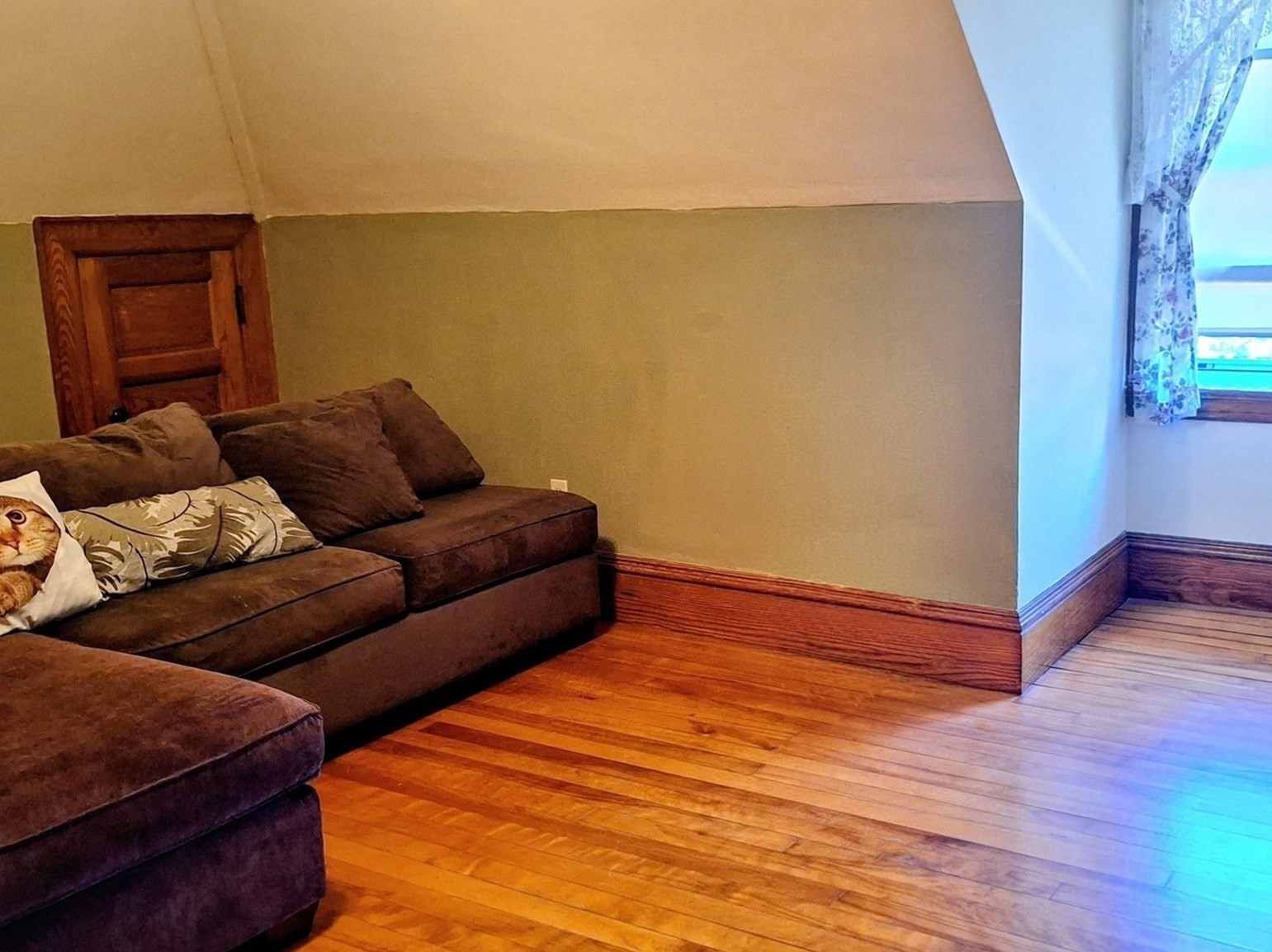 23 Germain St Property Photo 27