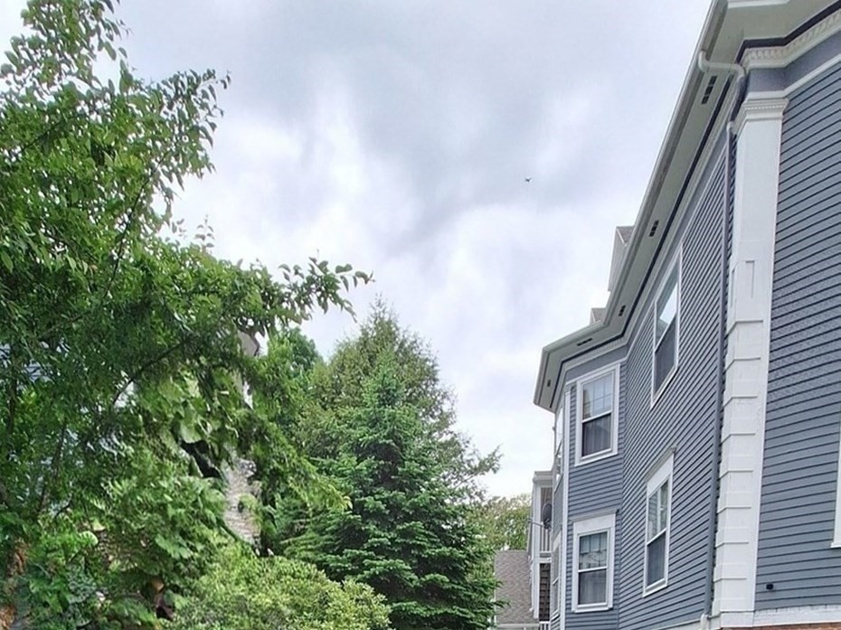 23 Germain St Property Photo 36