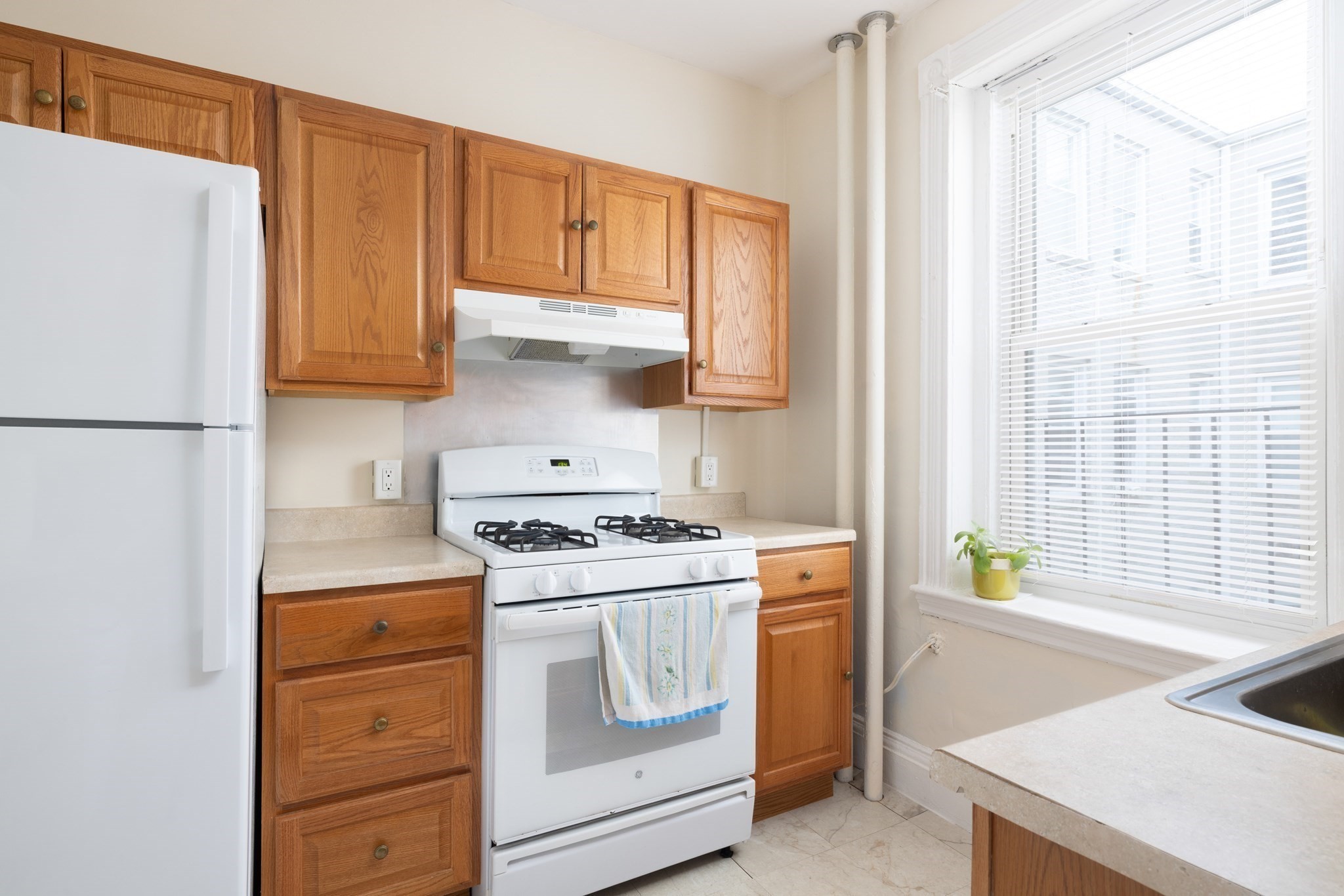 87 Gordon Street Property Photo 4