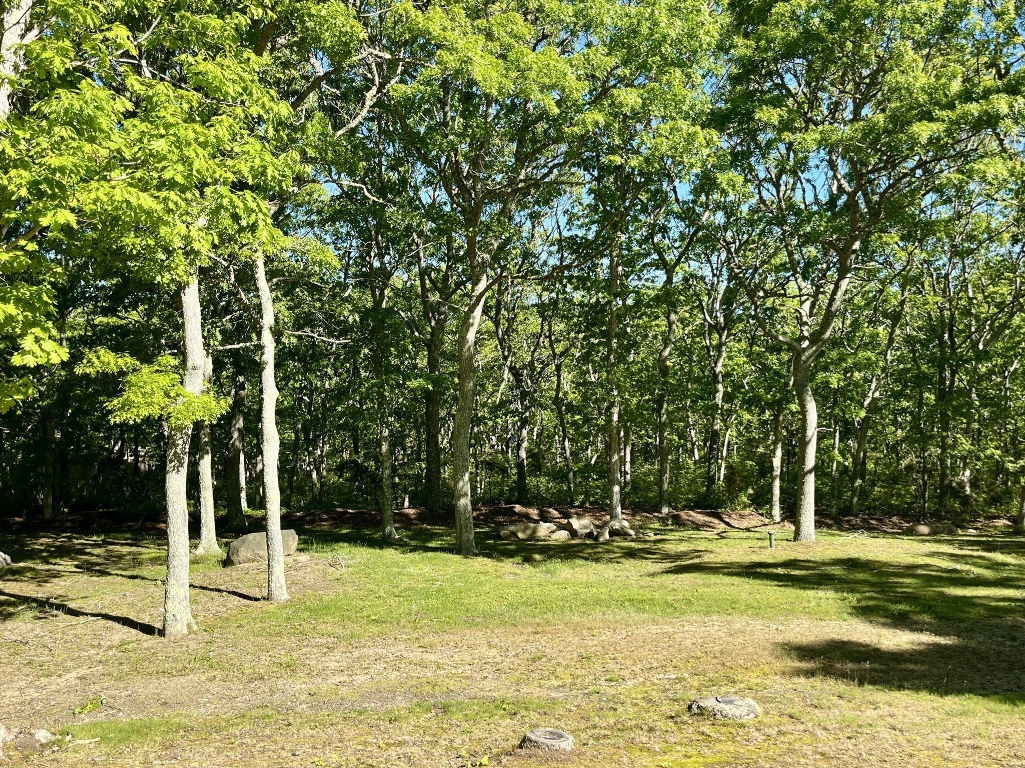 81 Whalers Walk Property Photo 3
