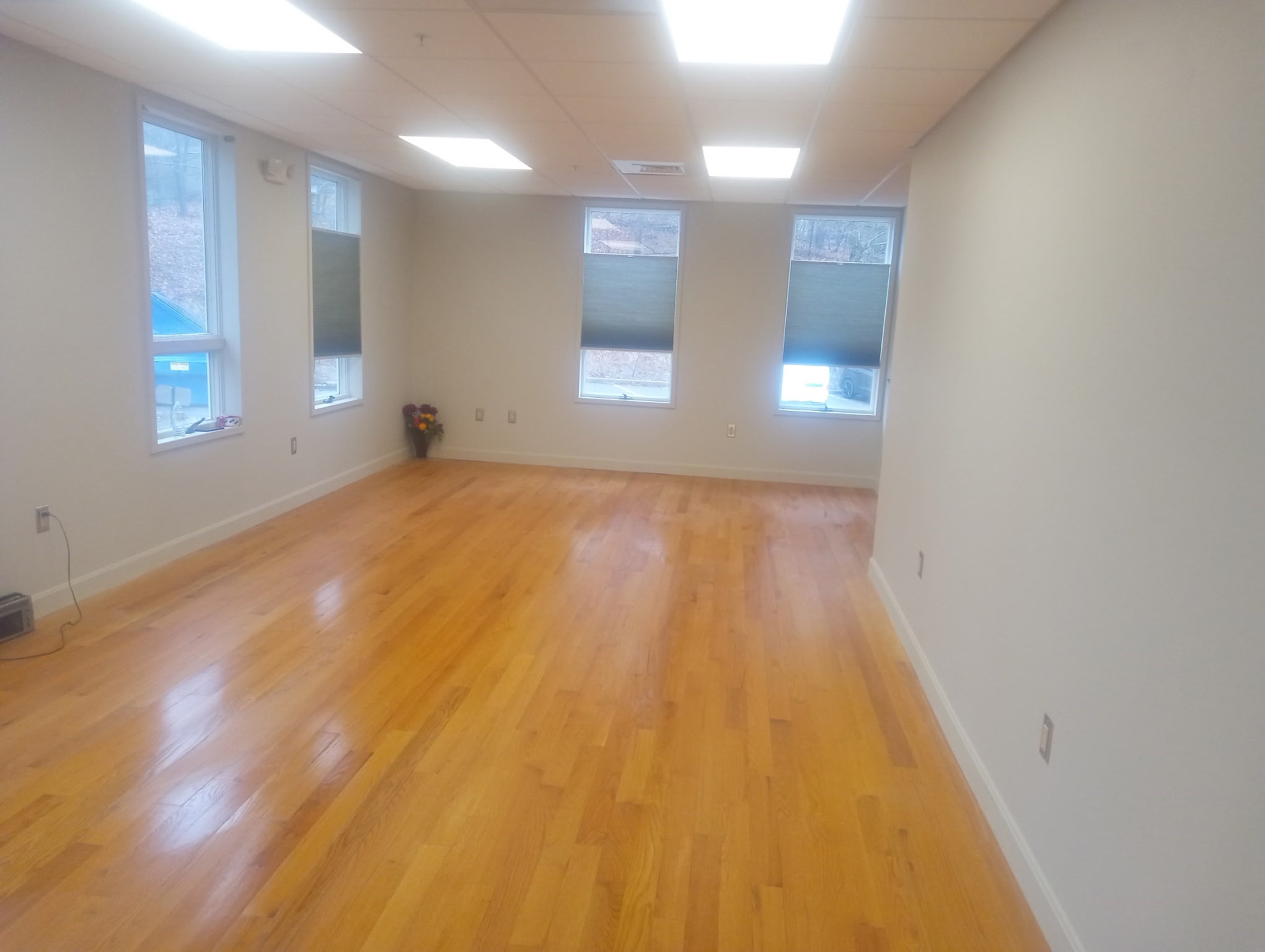 491 Maple St # 206 Property Photo 1