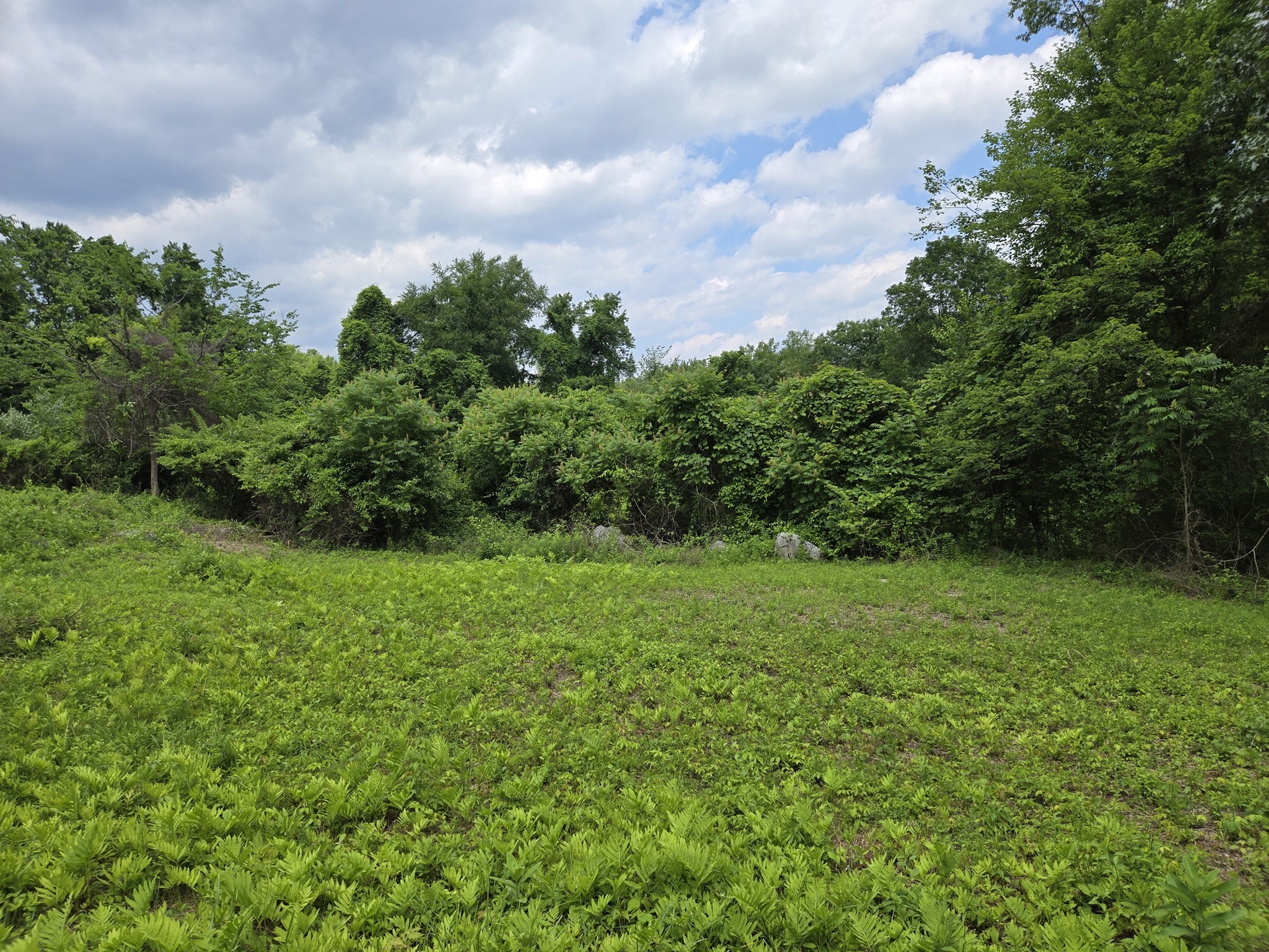 0 Old Stage Rd