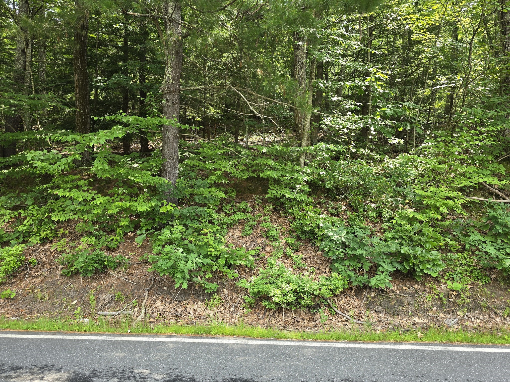 37 N Farms Rd