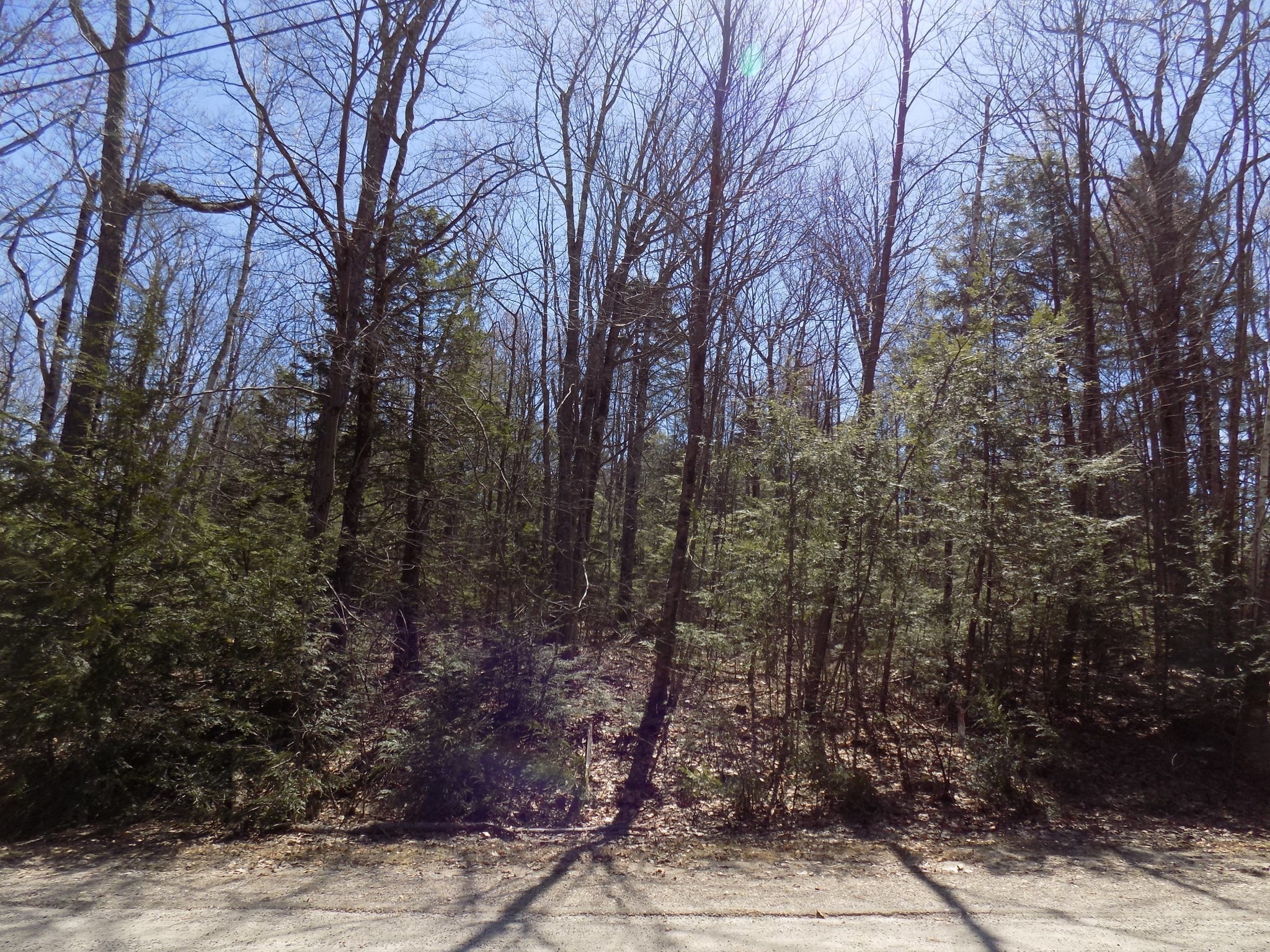 Lot 7 Skyline Ridge Rd. Property Photo 5