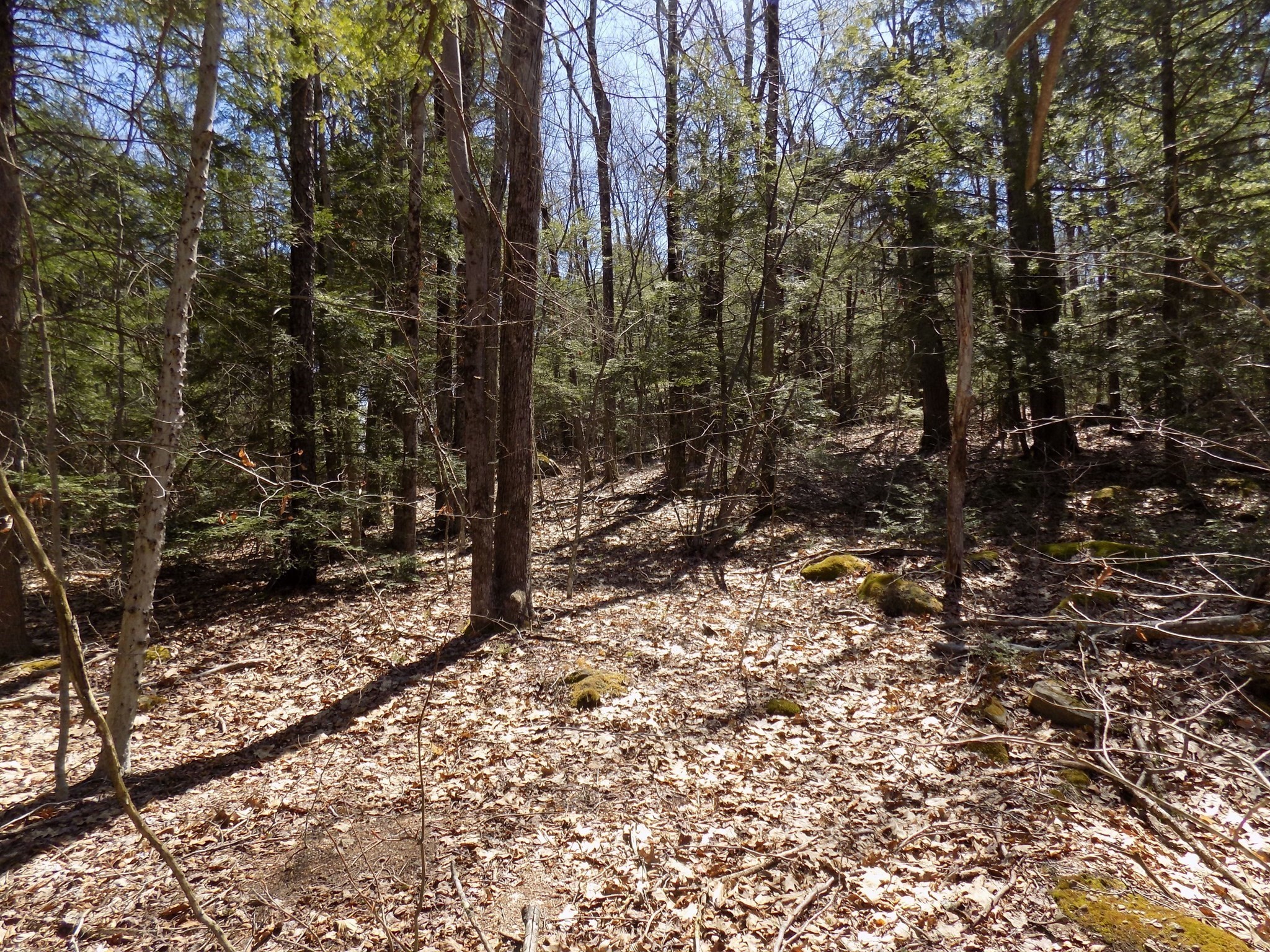 Lot 7 Skyline Ridge Rd. Property Photo 6