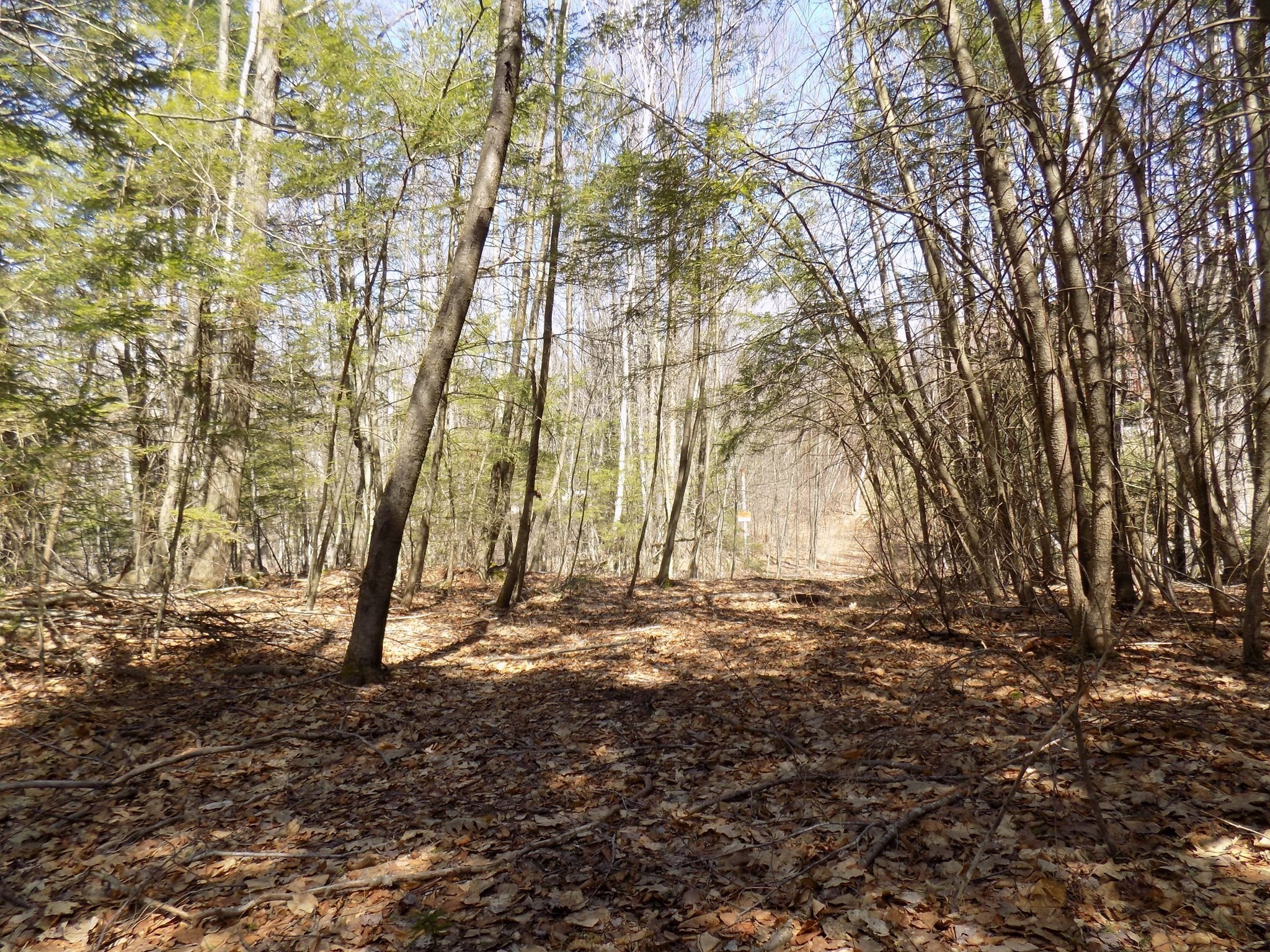 Lot 7 Skyline Ridge Rd. Property Photo 7