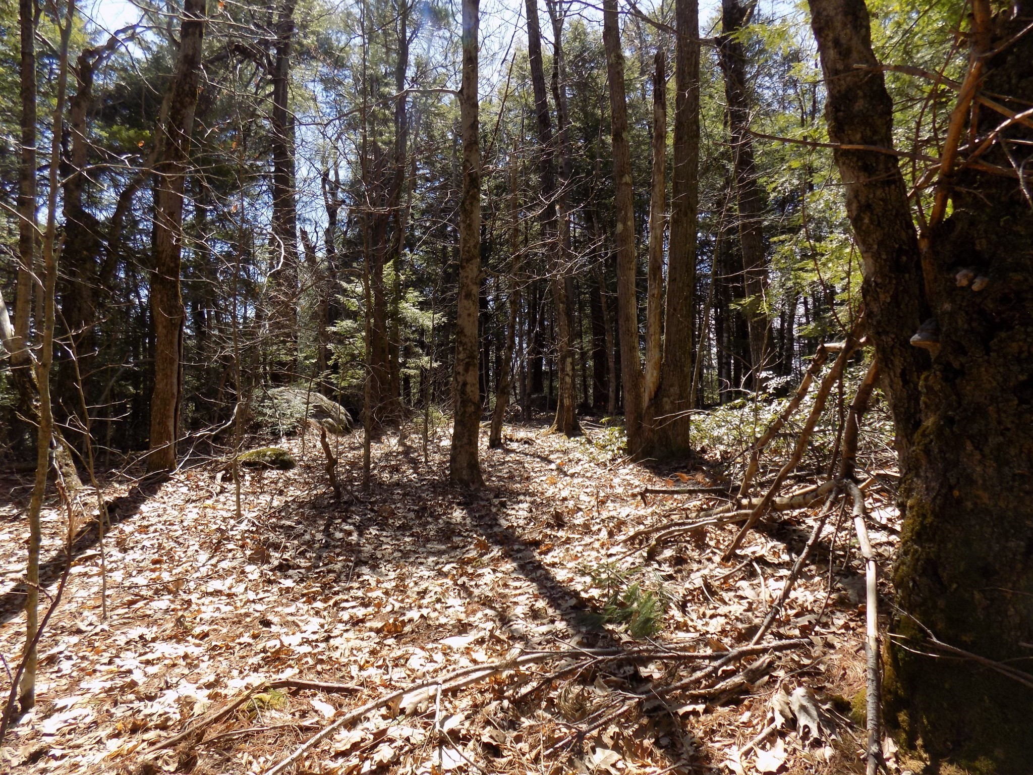 Lot 7 Skyline Ridge Rd. Property Photo 8