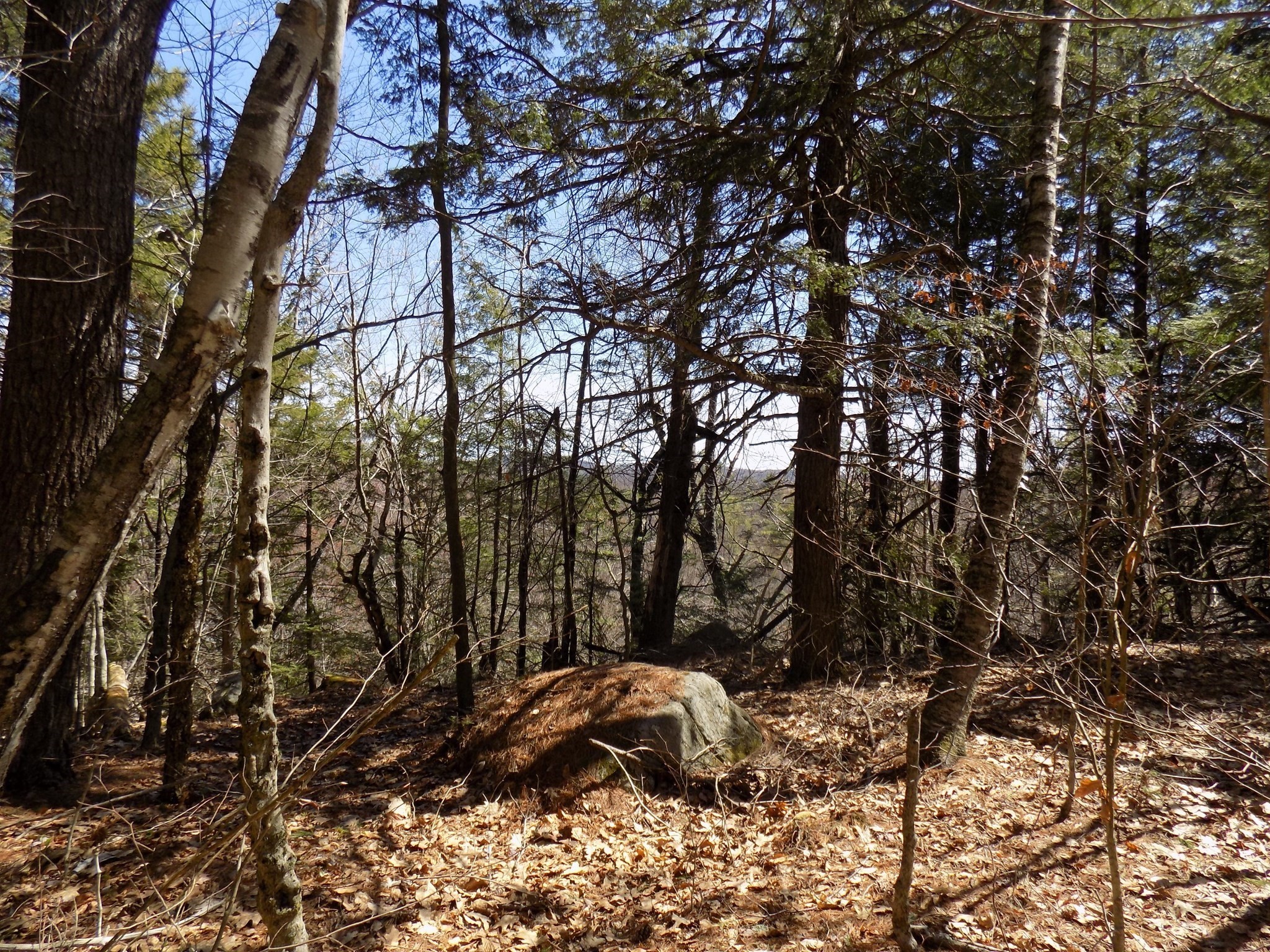 Lot 7 Skyline Ridge Rd. Property Photo 9