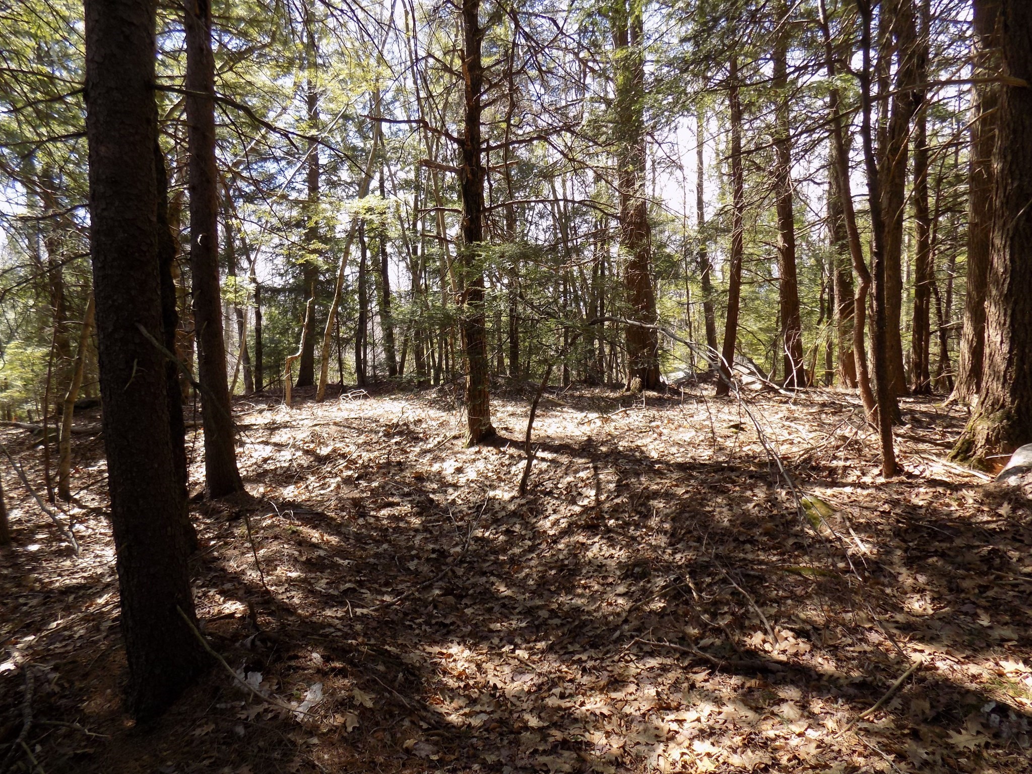 Lot 7 Skyline Ridge Rd. Property Photo 10