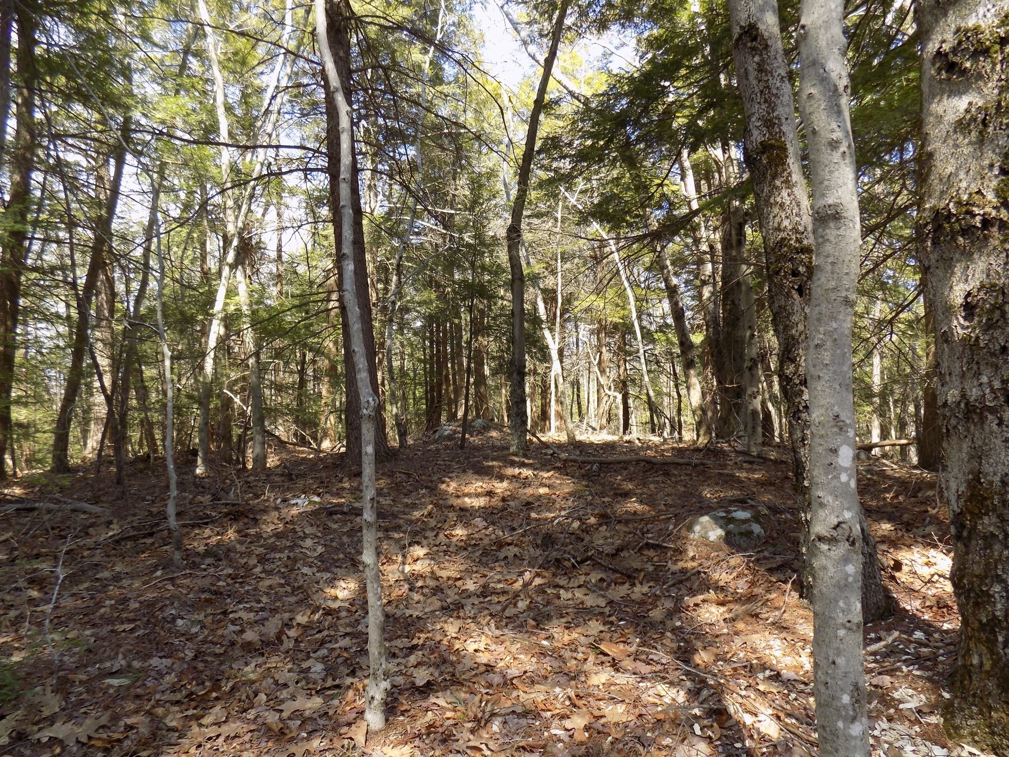 Lot 7 Skyline Ridge Rd. Property Photo 11