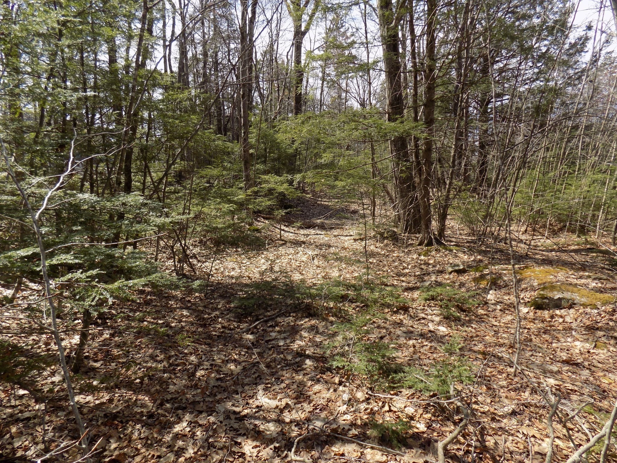 Lot 7 Skyline Ridge Rd. Property Photo 12