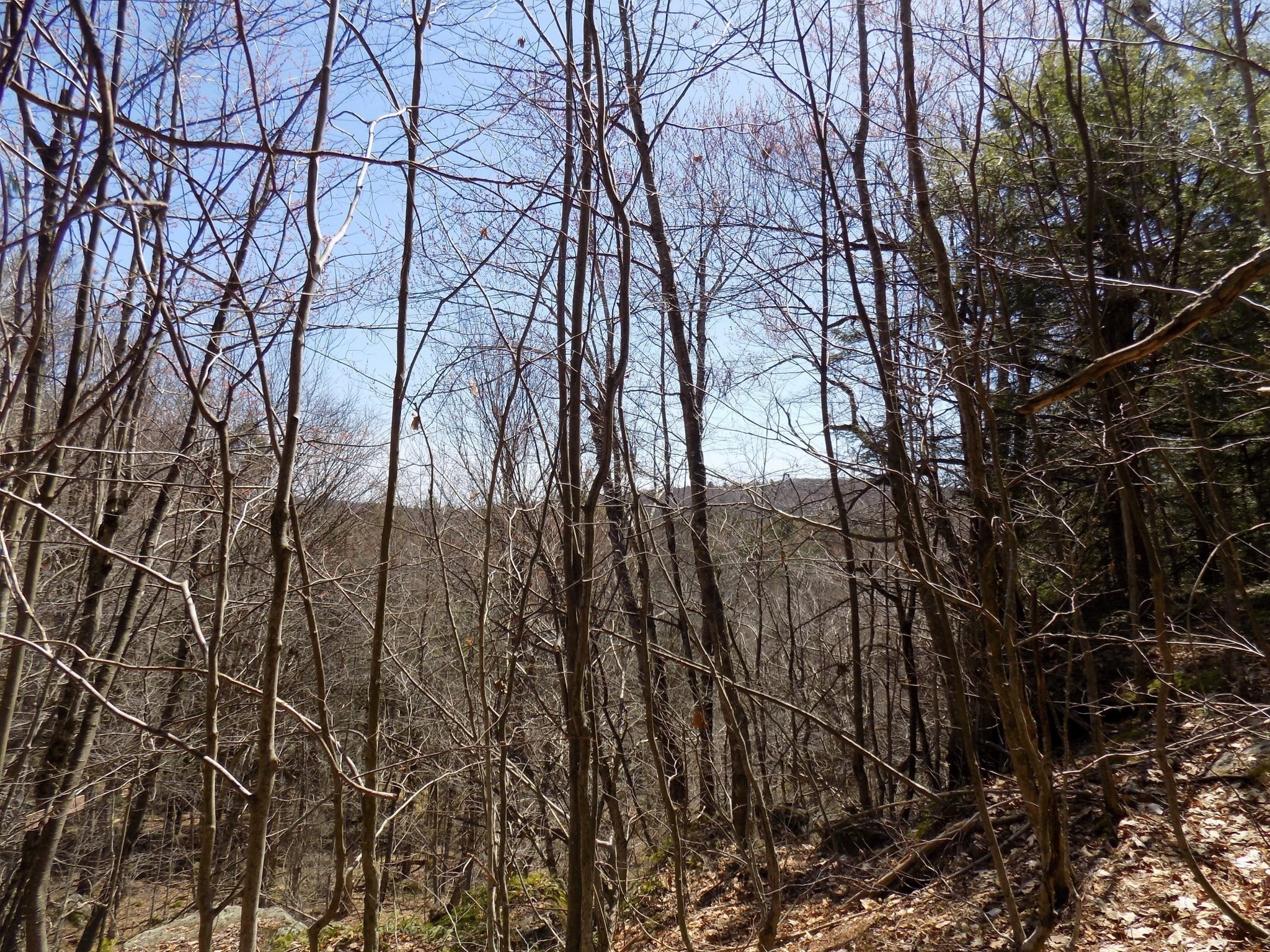 Lot 7 Skyline Ridge Rd. Property Photo 13