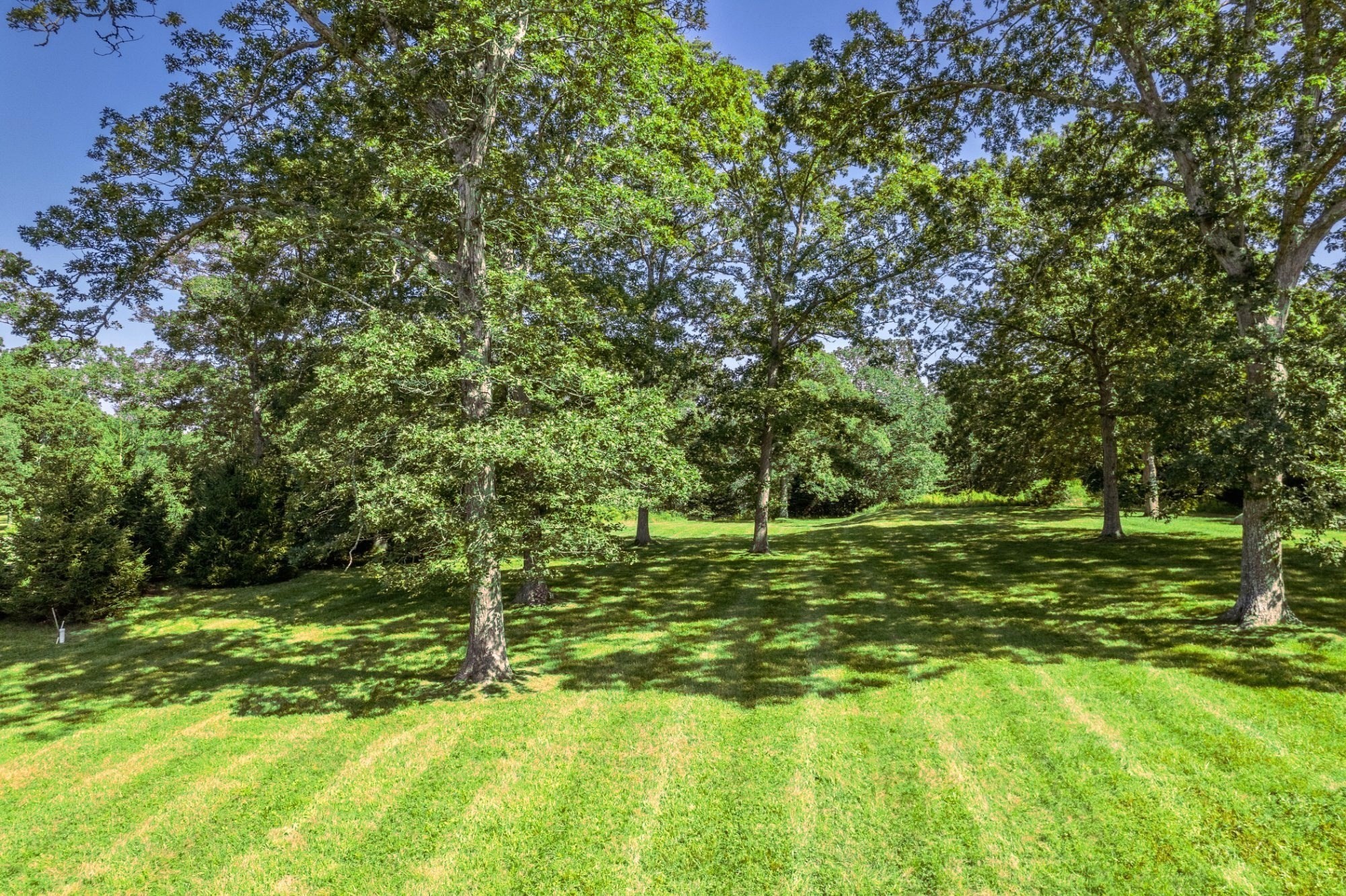 26 Flint Hill Road Property Photo 7