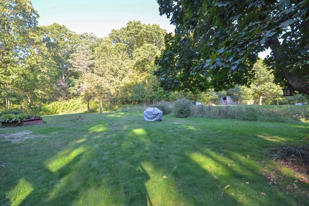 38 Druid Hill Ave E Property Photo 17