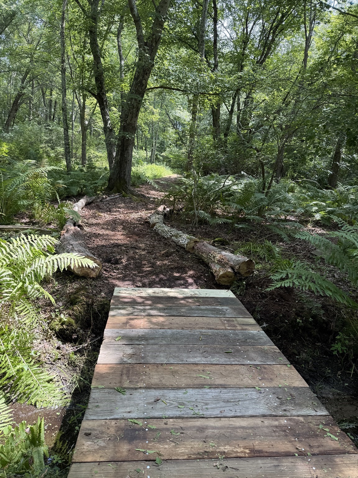 31 Swing Drive Property Photo 27