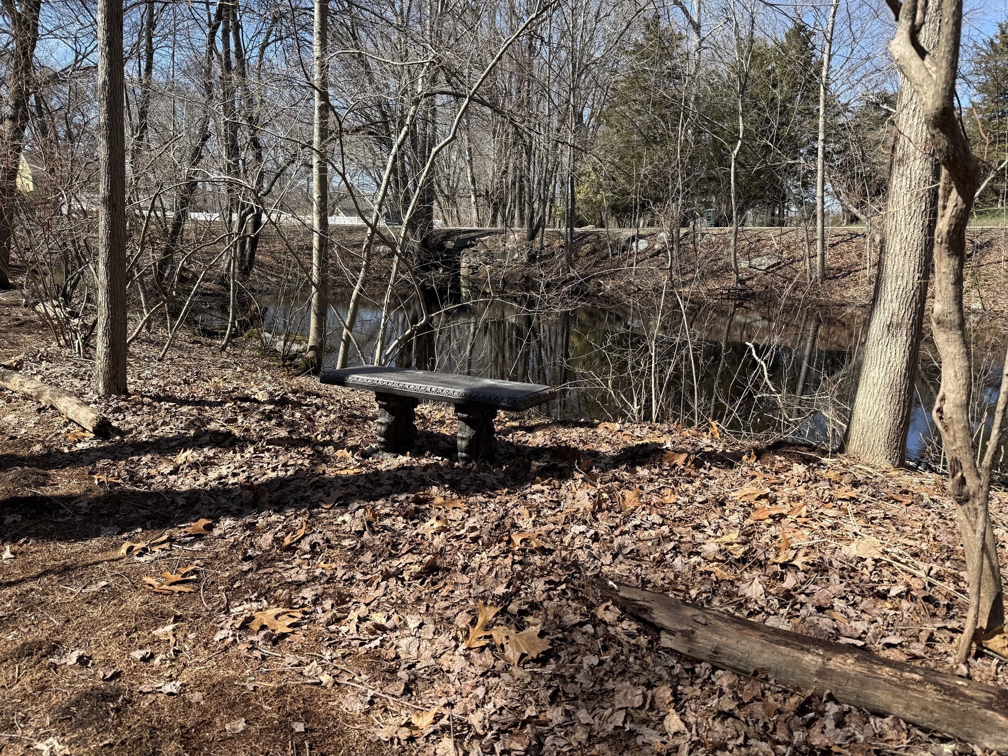 31 Swing Drive Property Photo 28