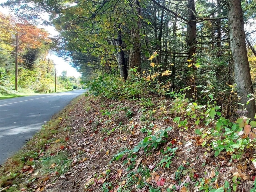 Lot 3 Harknesss Rd Property Photo 4
