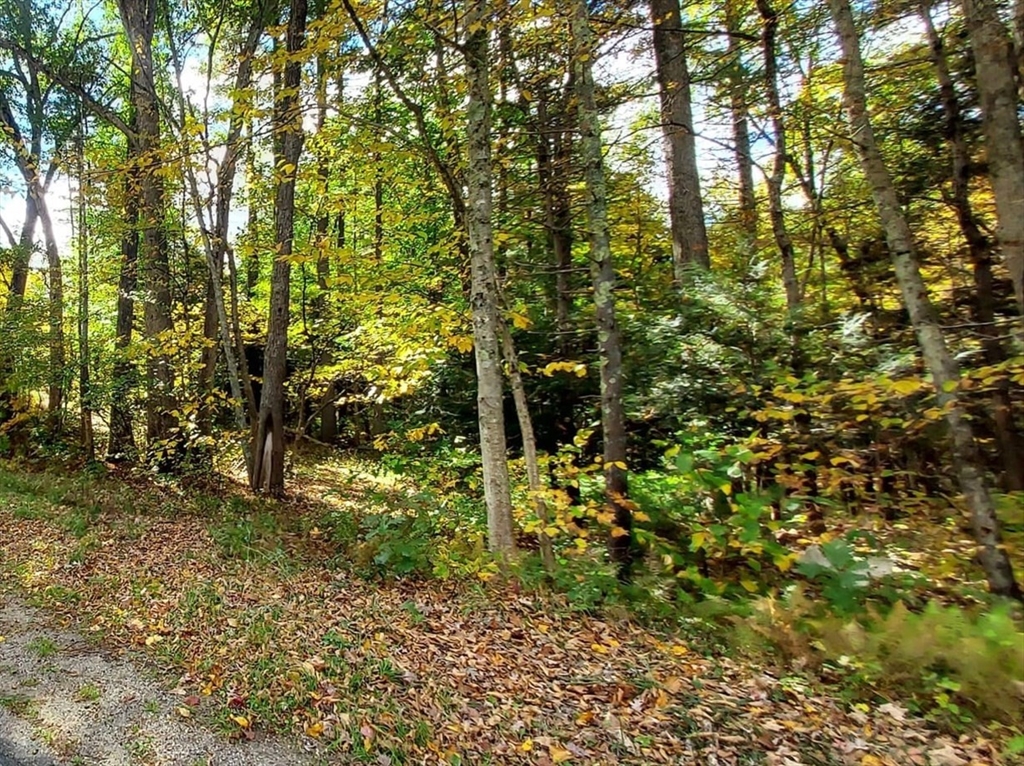 Lot 3 Harknesss Rd Property Photo 5