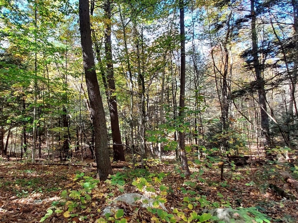 Lot 3 Harknesss Rd Property Photo 6