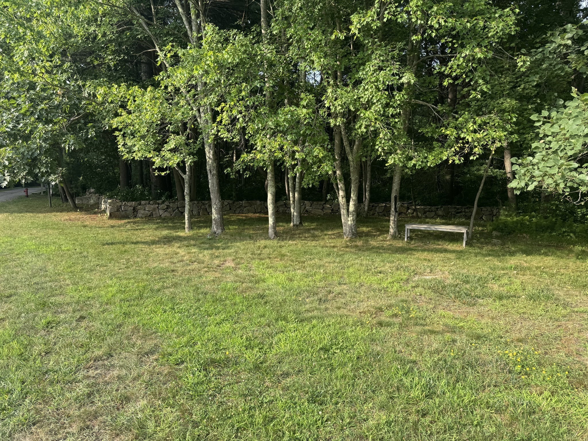 3 Shining Valley Cir Property Photo 4