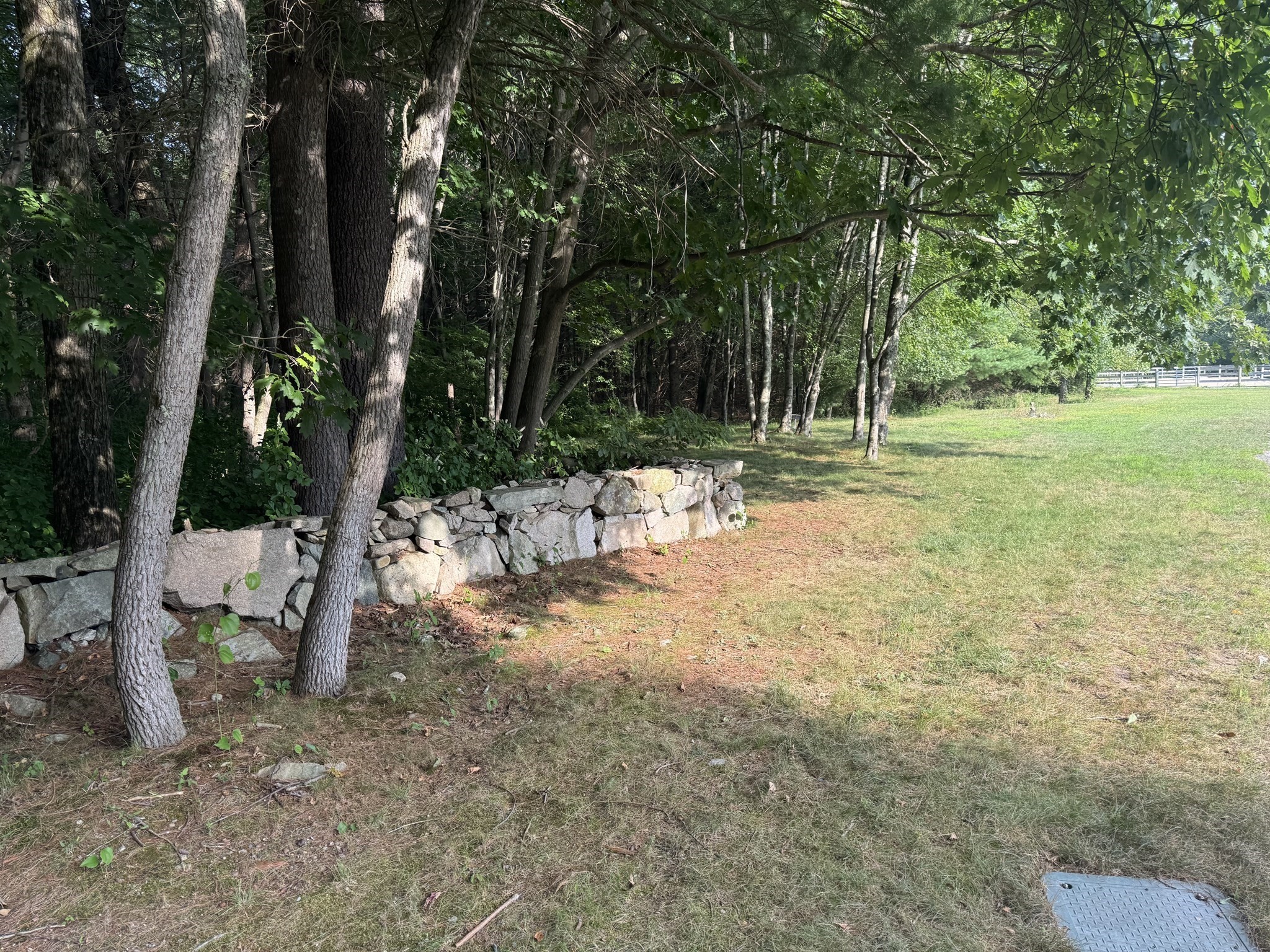 3 Shining Valley Cir Property Photo 5