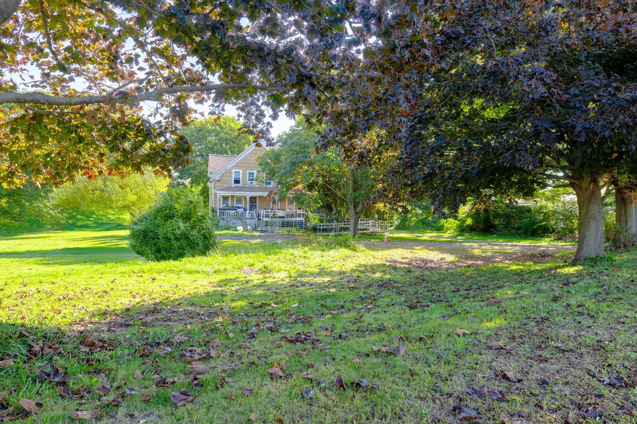 15 Shirley St Property Photo 16