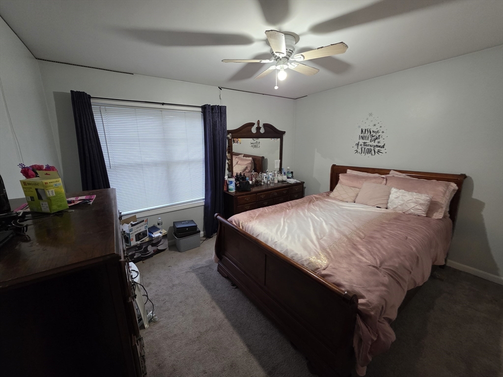 229 Concord Street Property Photo 19